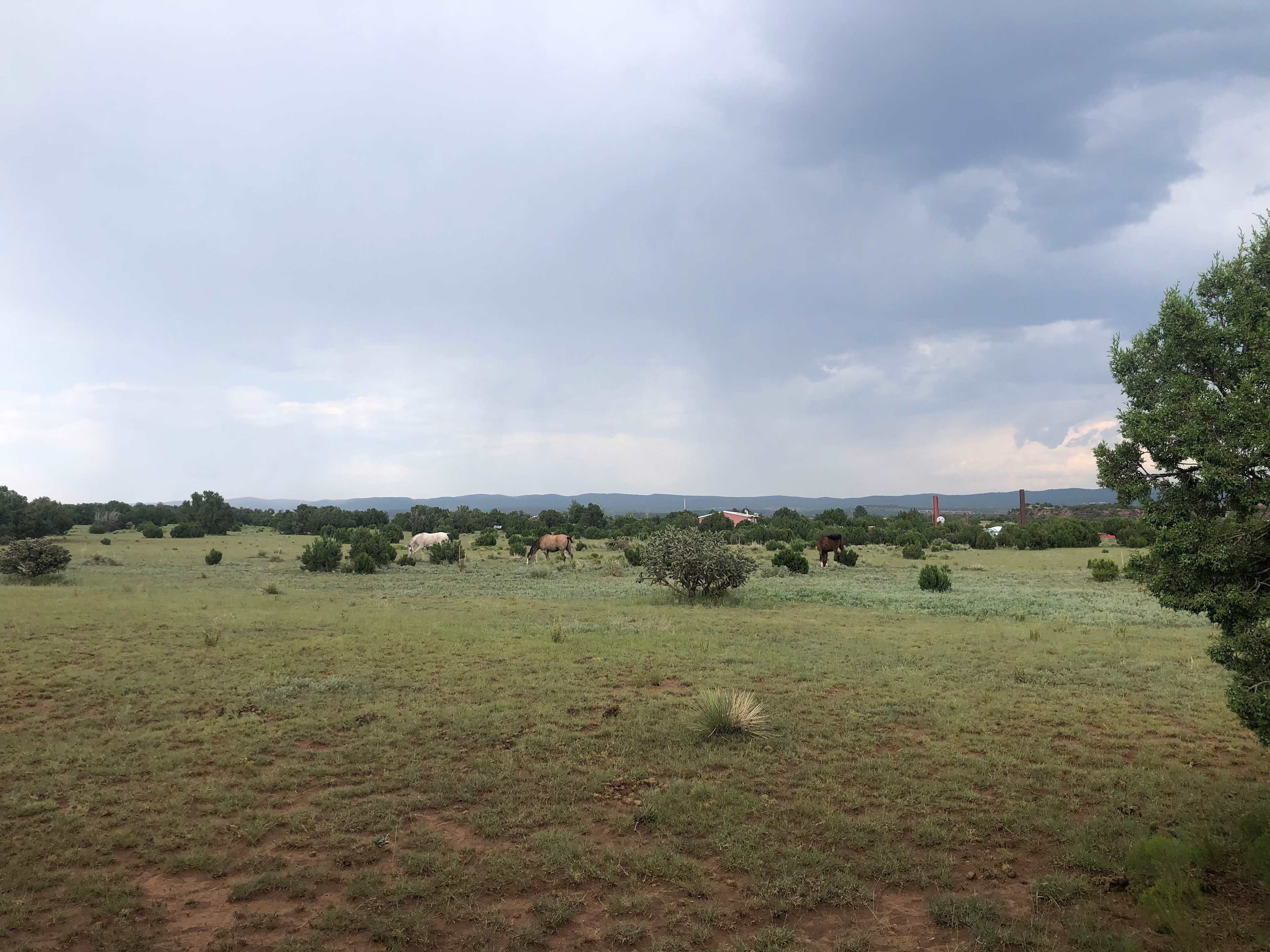 Las Sabinas Ranch