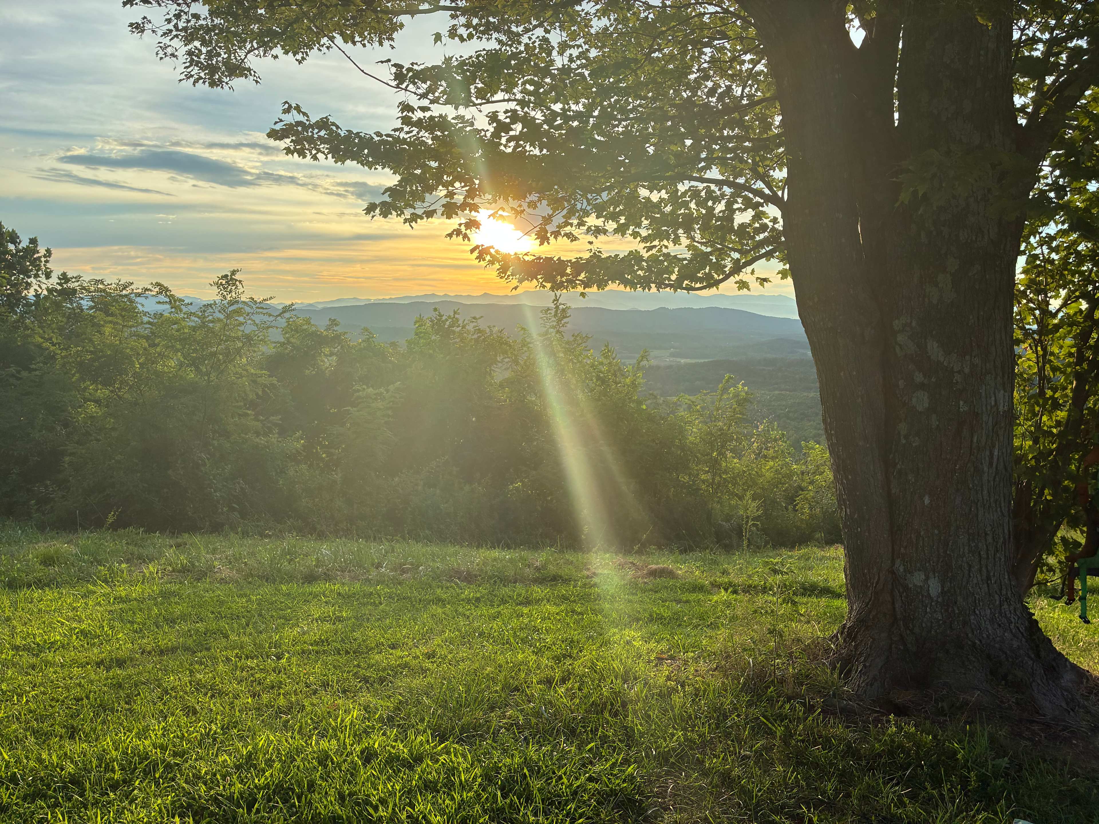 Bolin Knob Meadows