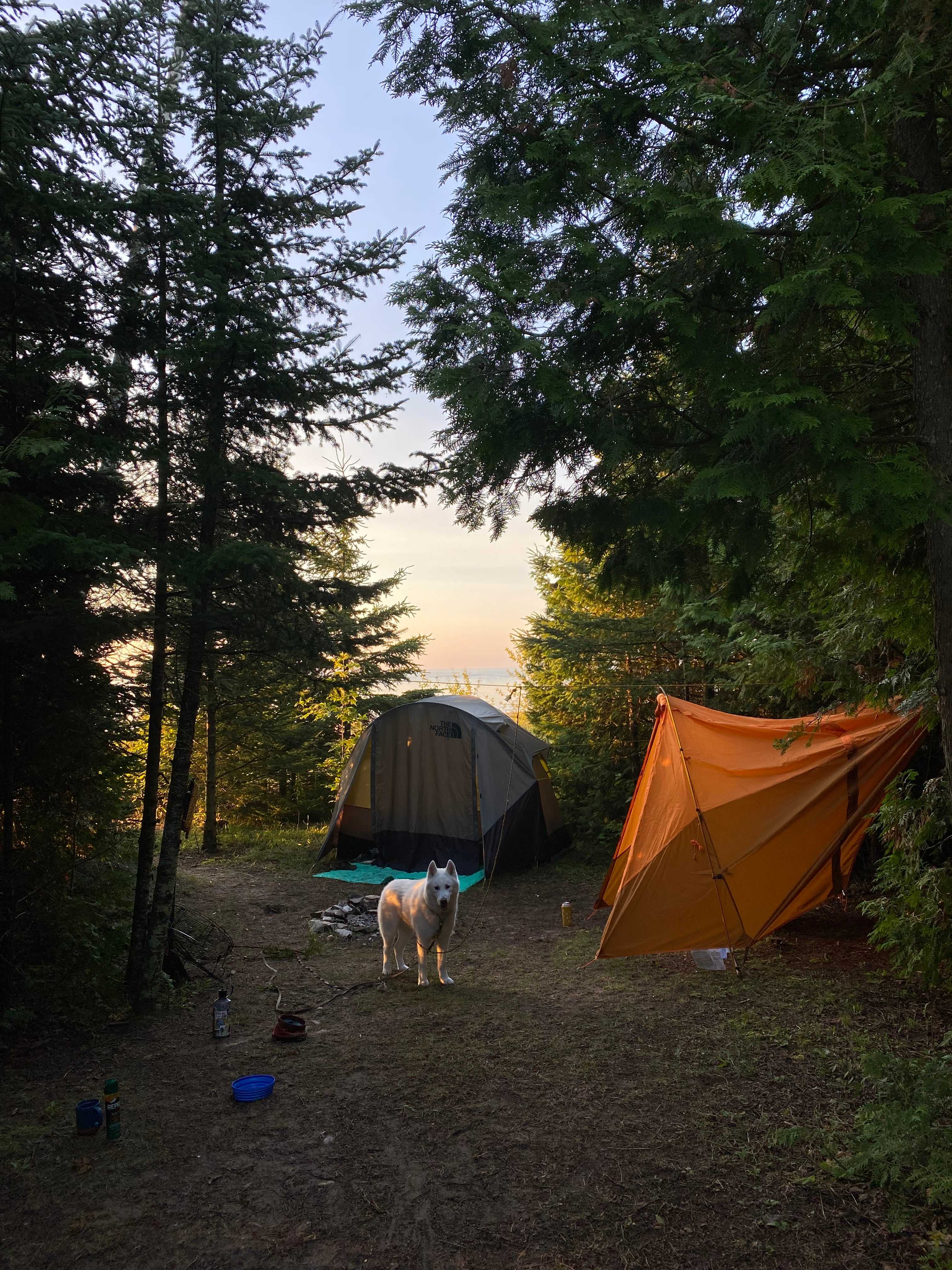 Site, standing on camper landing for reference