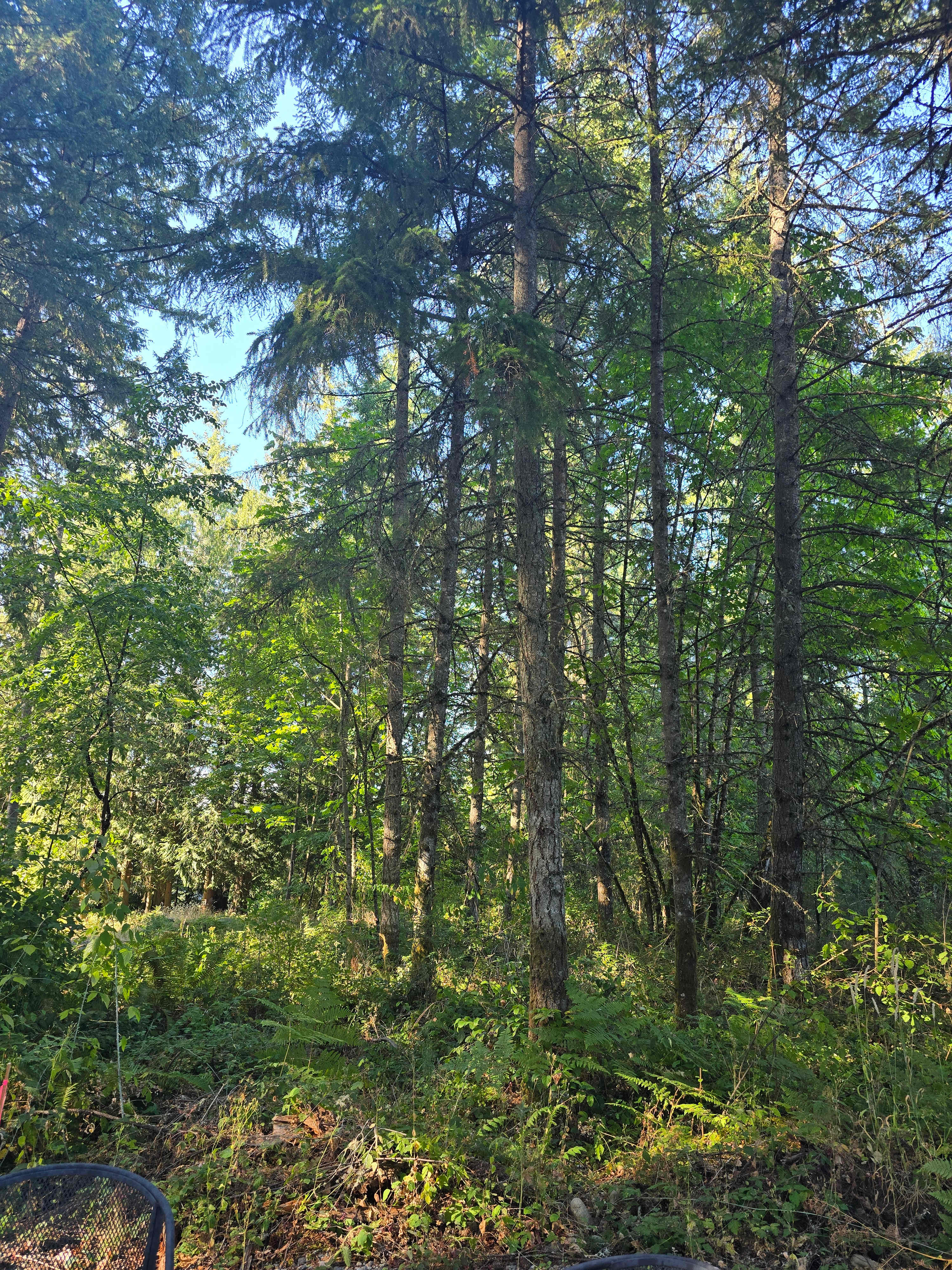 Dean’s Campground