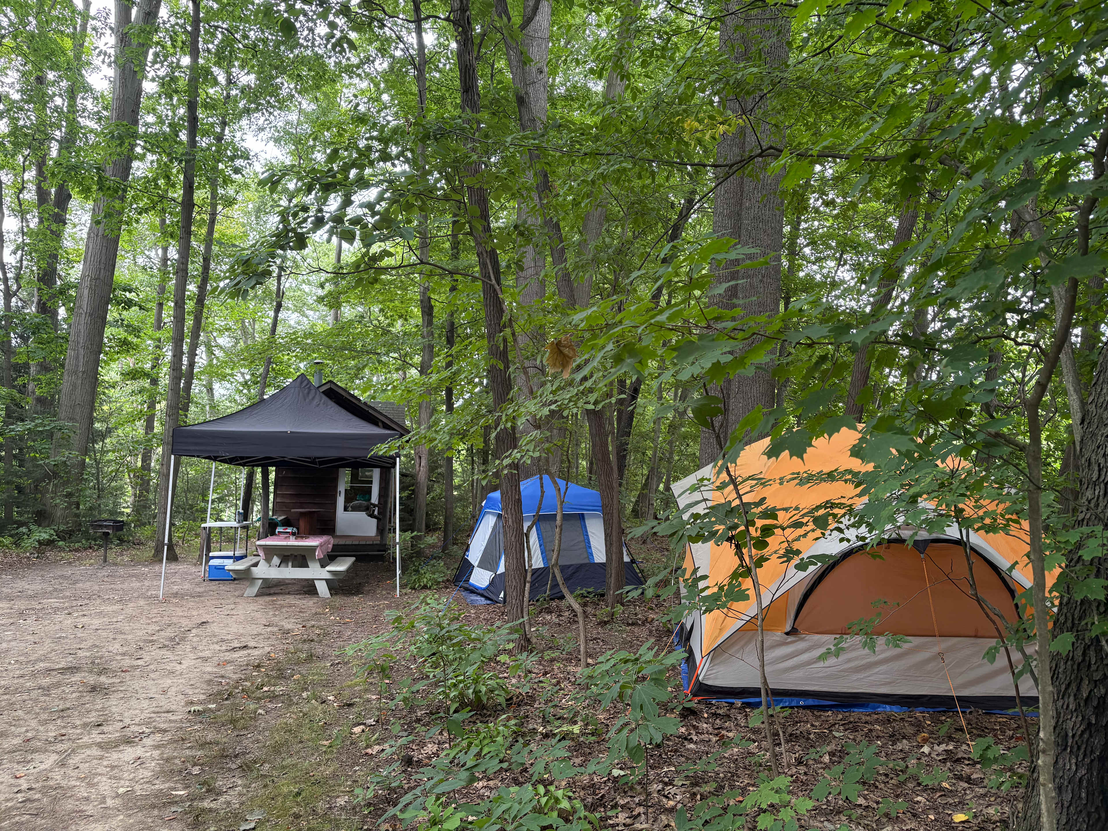 Hemlock Hideaway