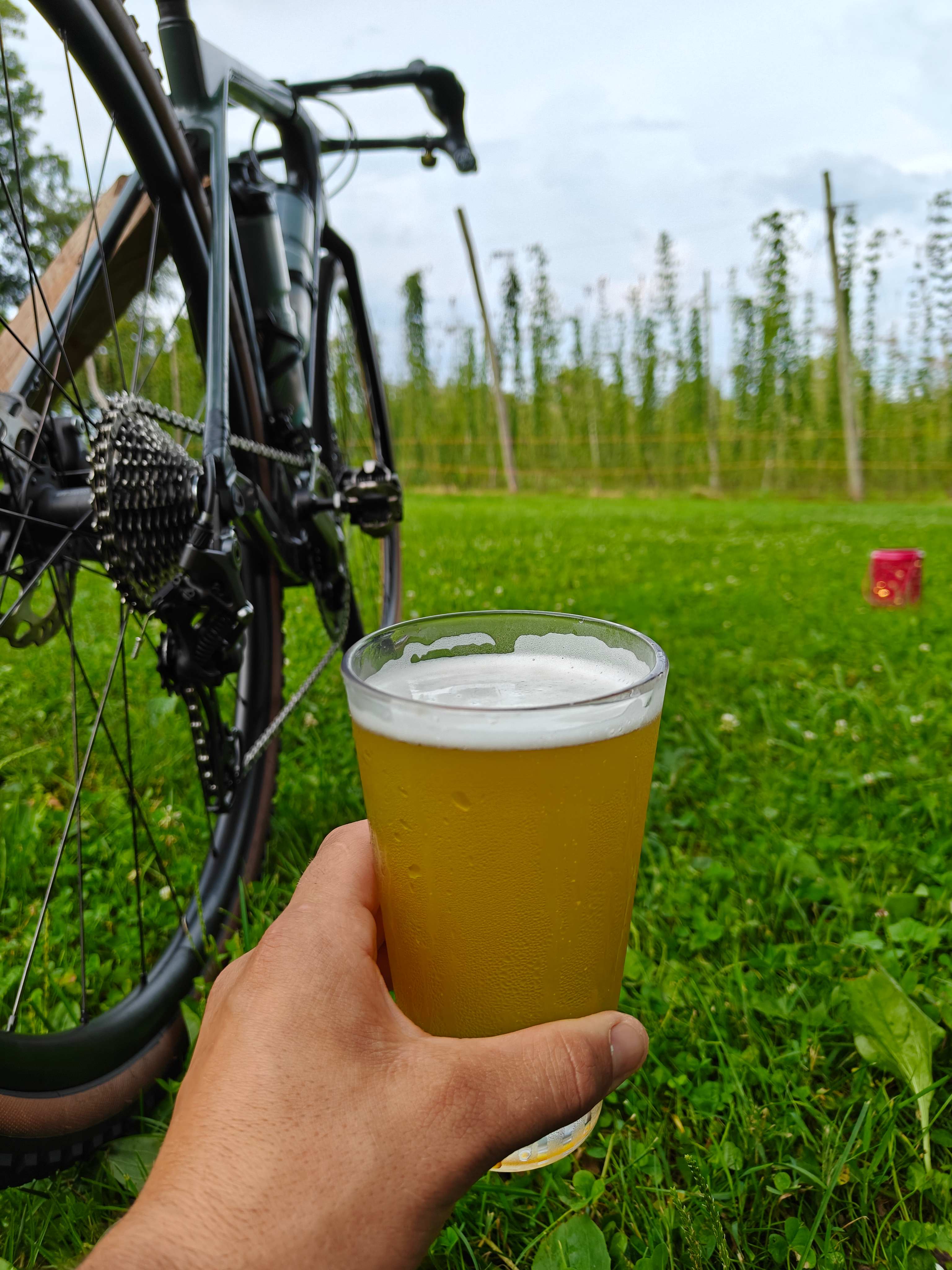 Black Locust Hops Farm Brewery