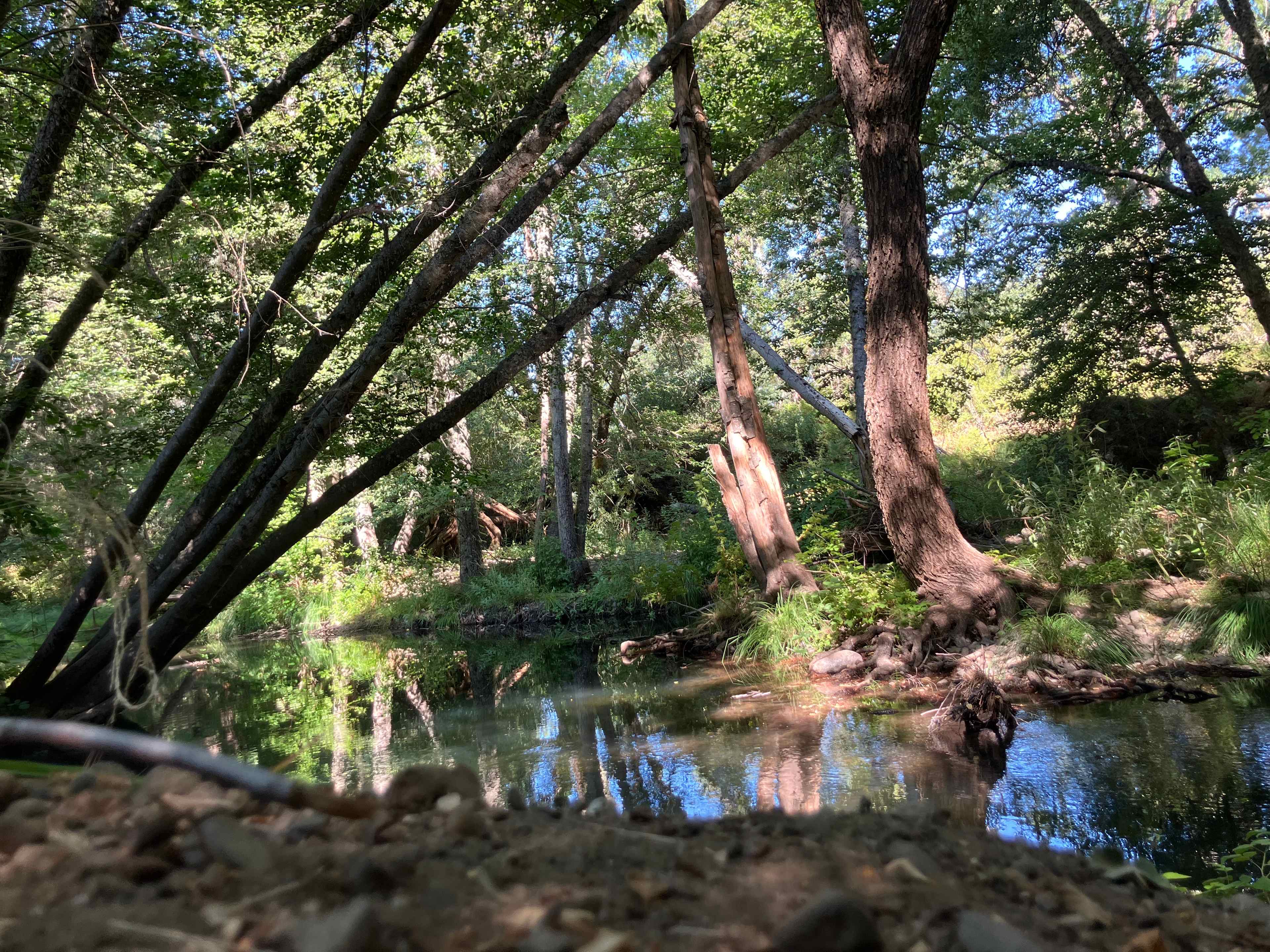 Mandala Springs Wellness Center