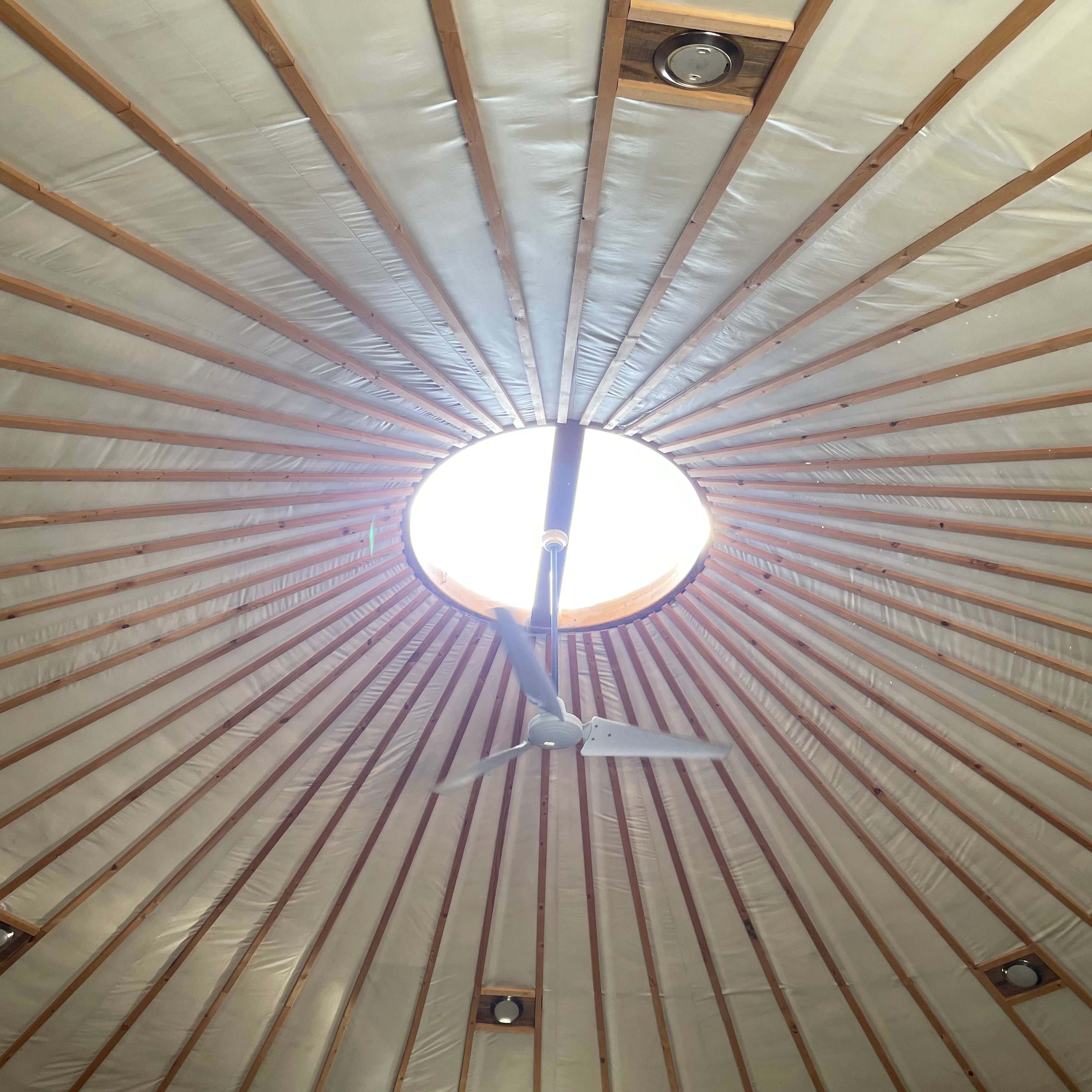 iInside our yurt