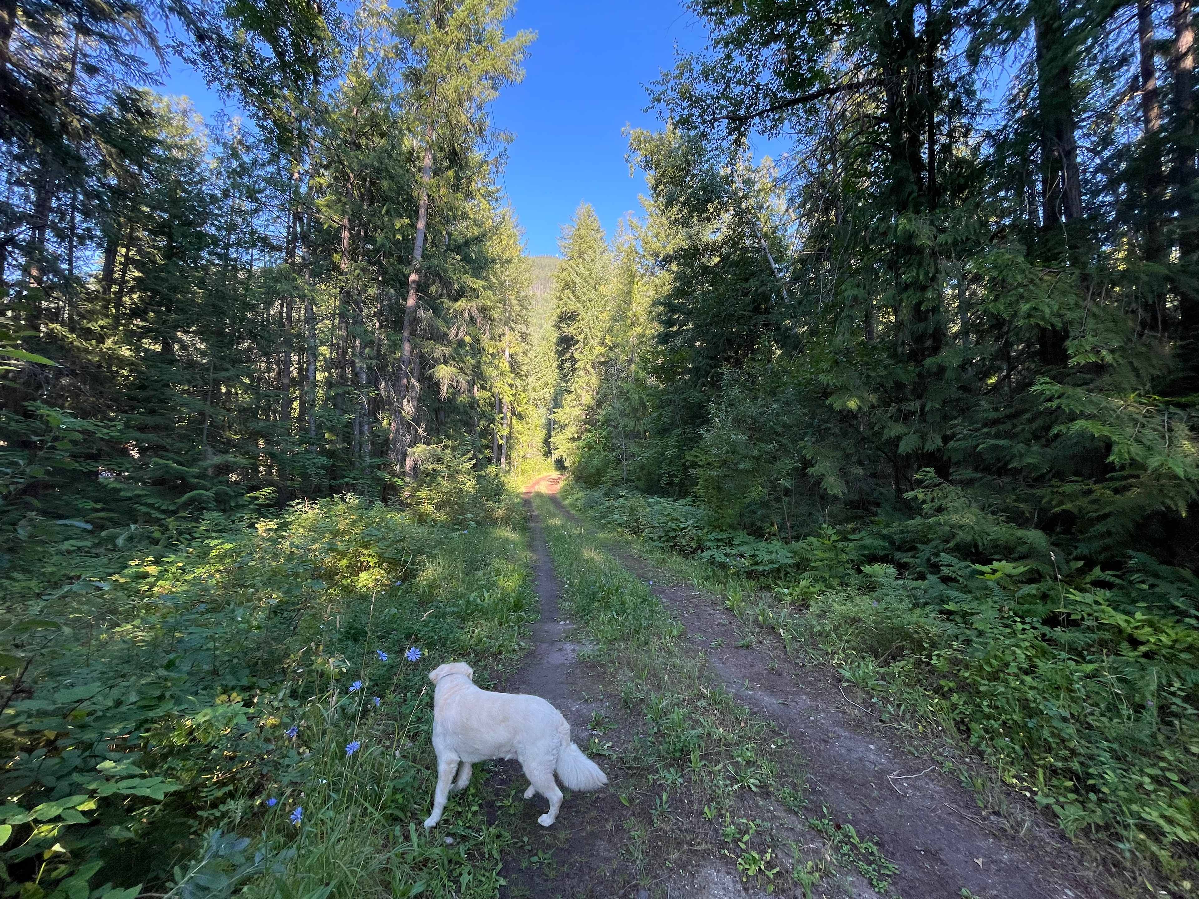 8 Point Acres