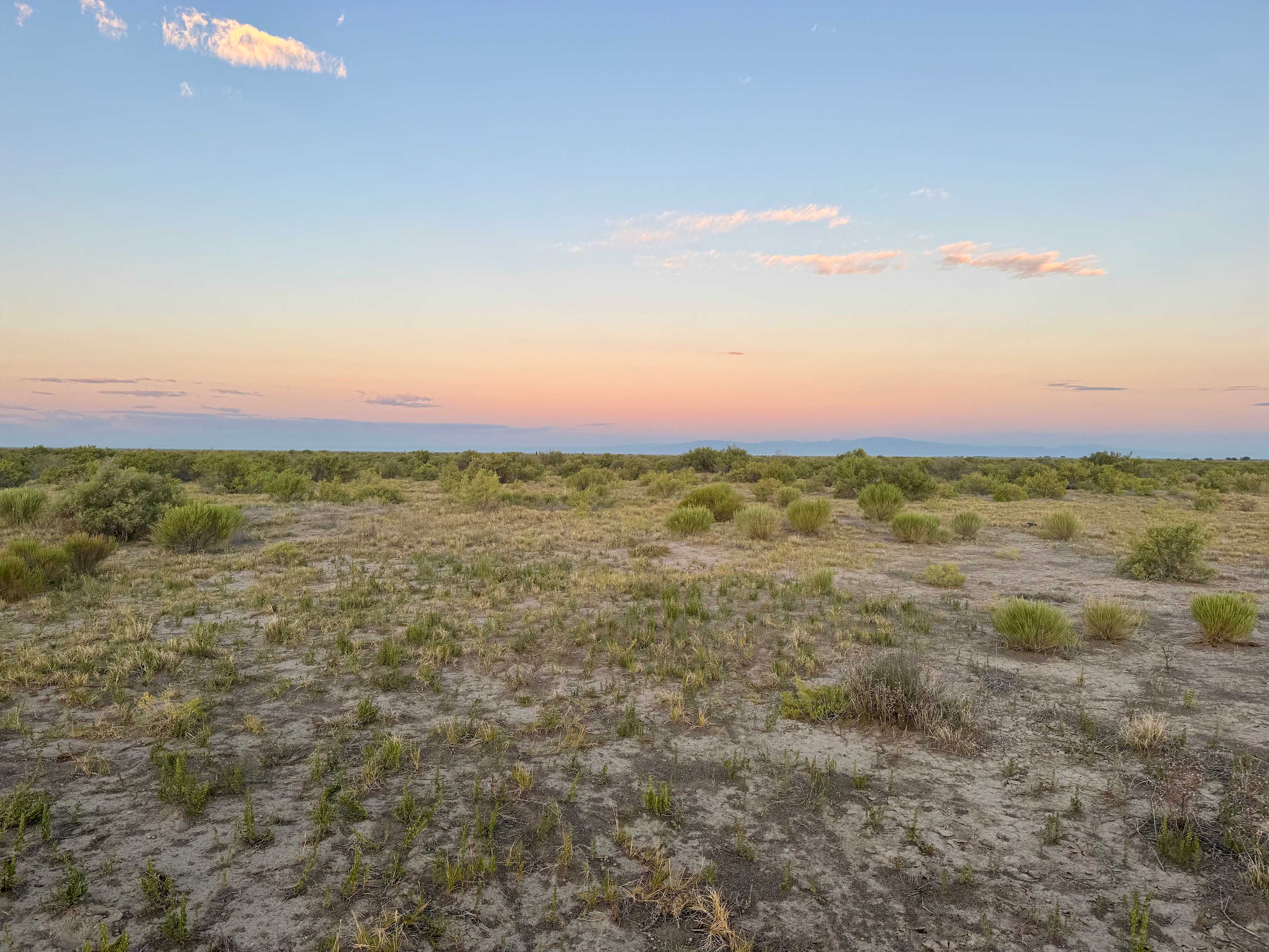 Great Sand Dunes Camp Dune