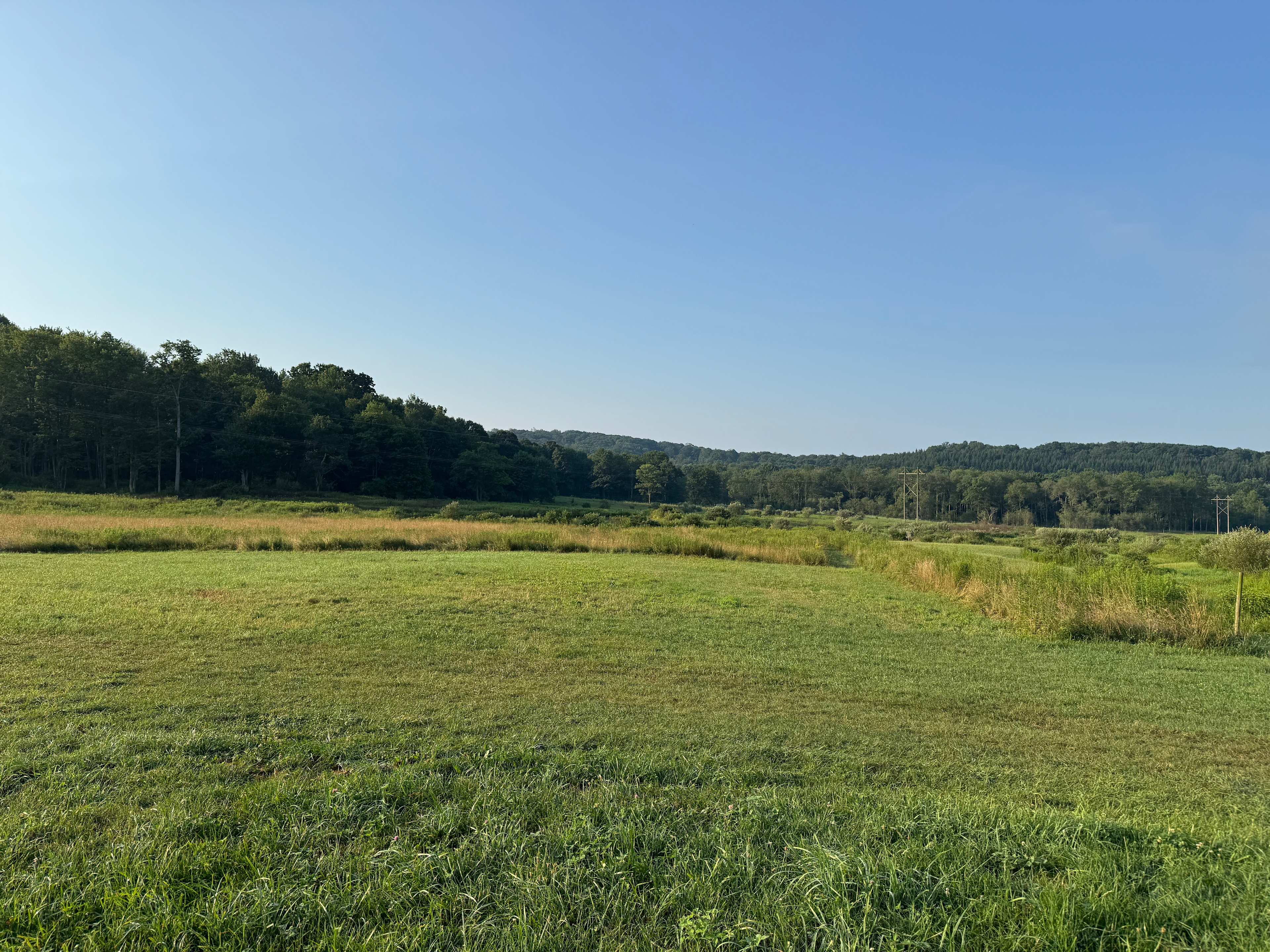 Fernwood Farmstead & Disc-Golf