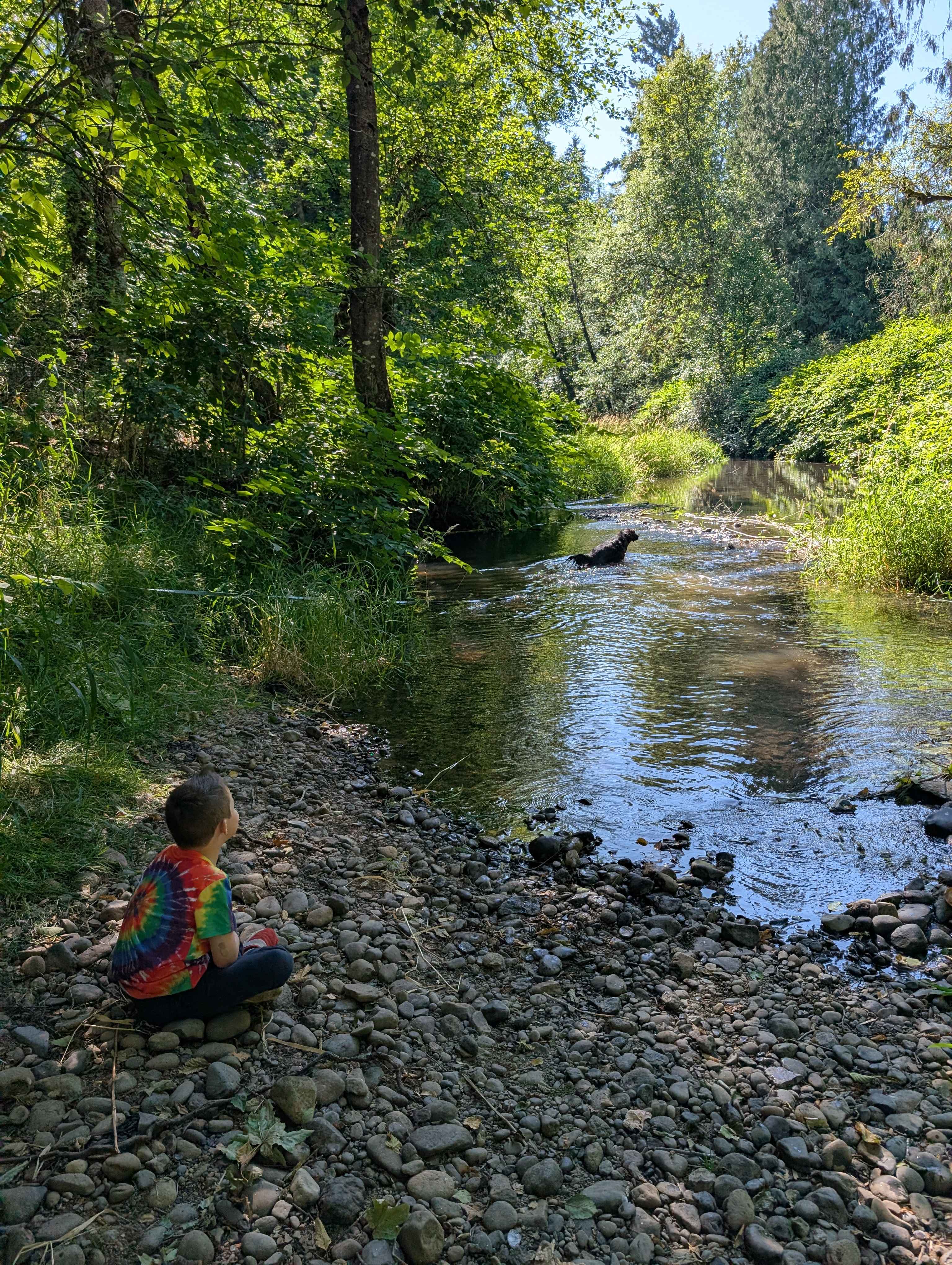 Isla Springs