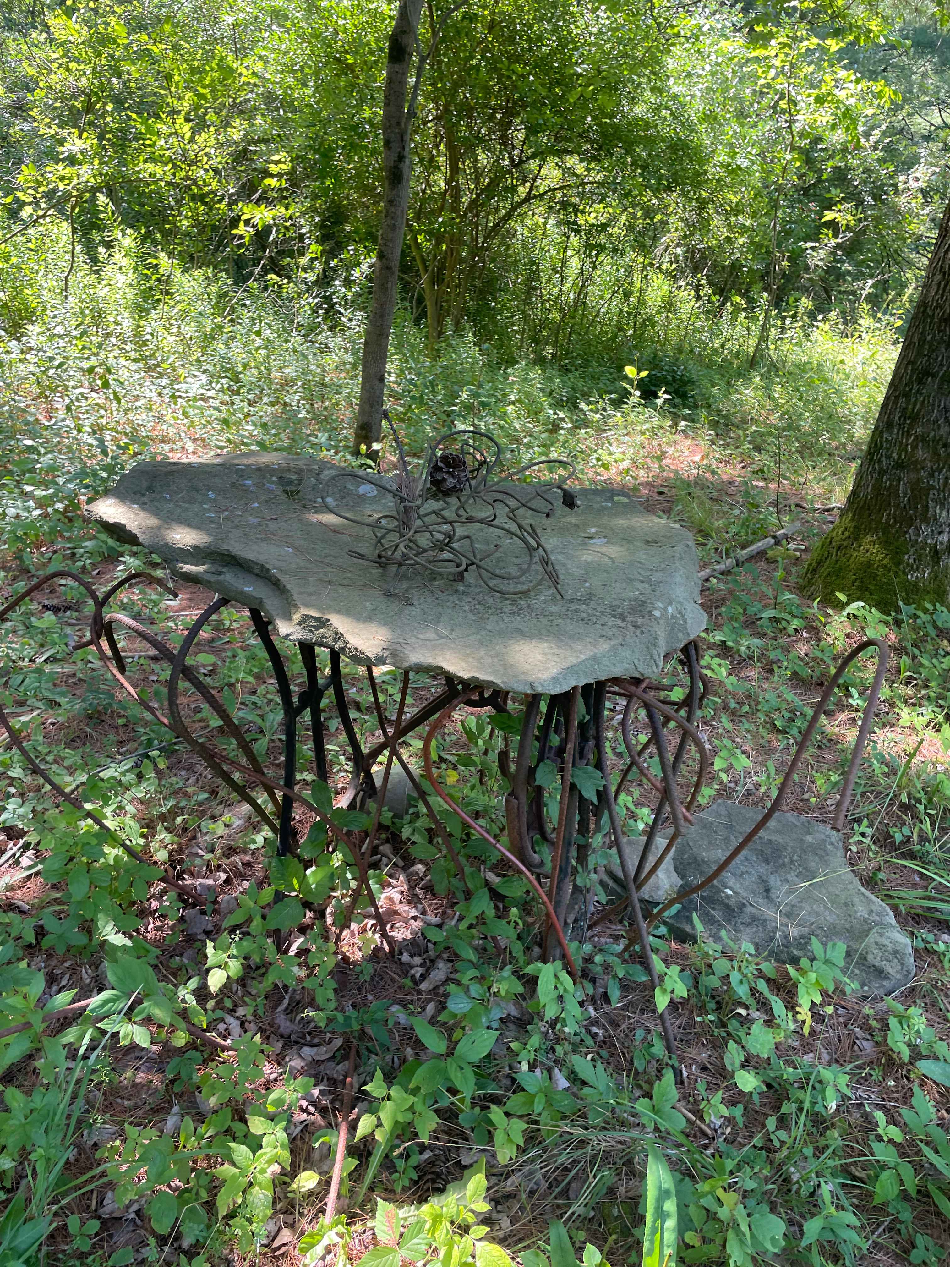 Out on the trail…a lovely little stand.