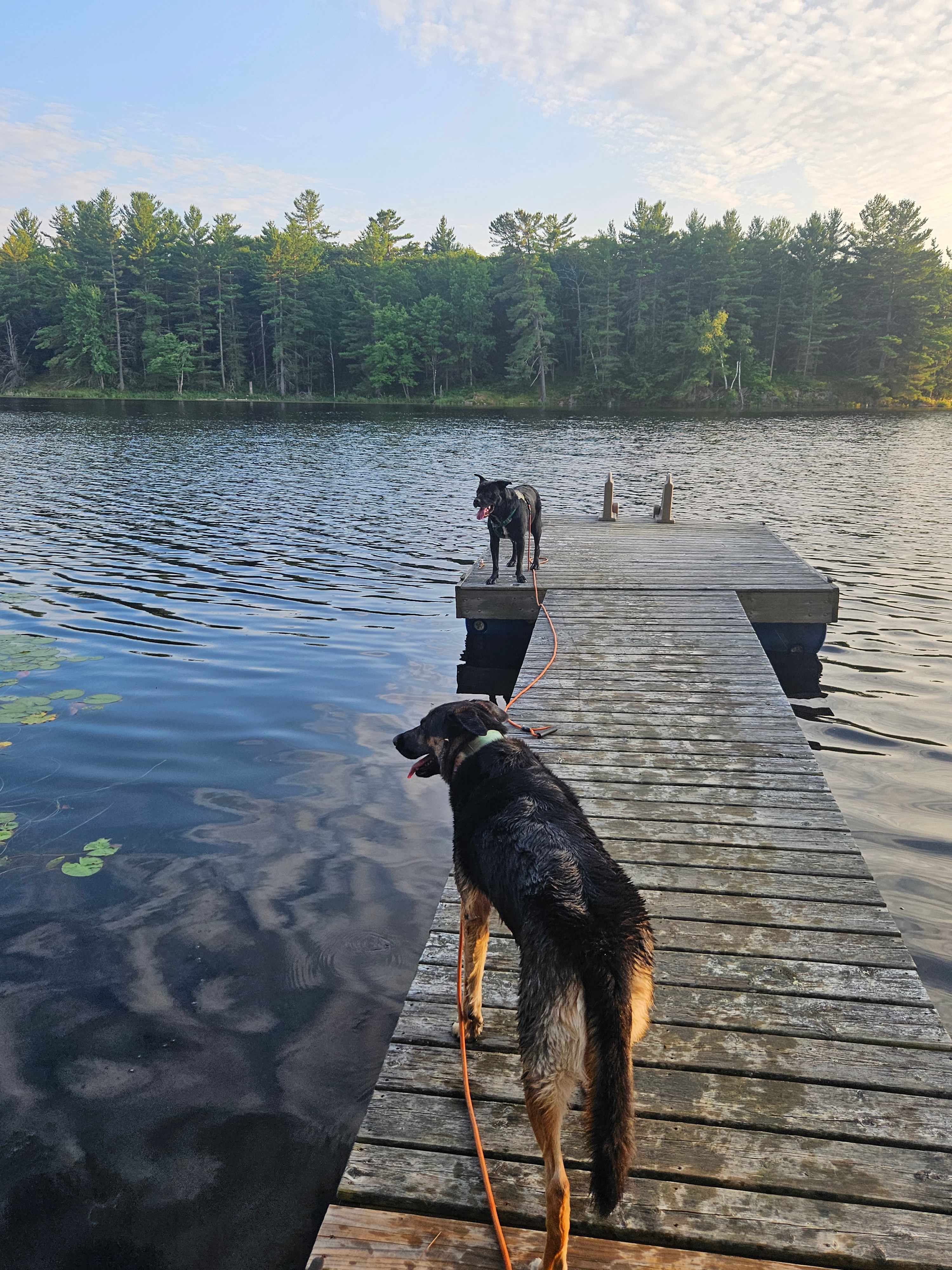 Wilderness Trails At Sumac