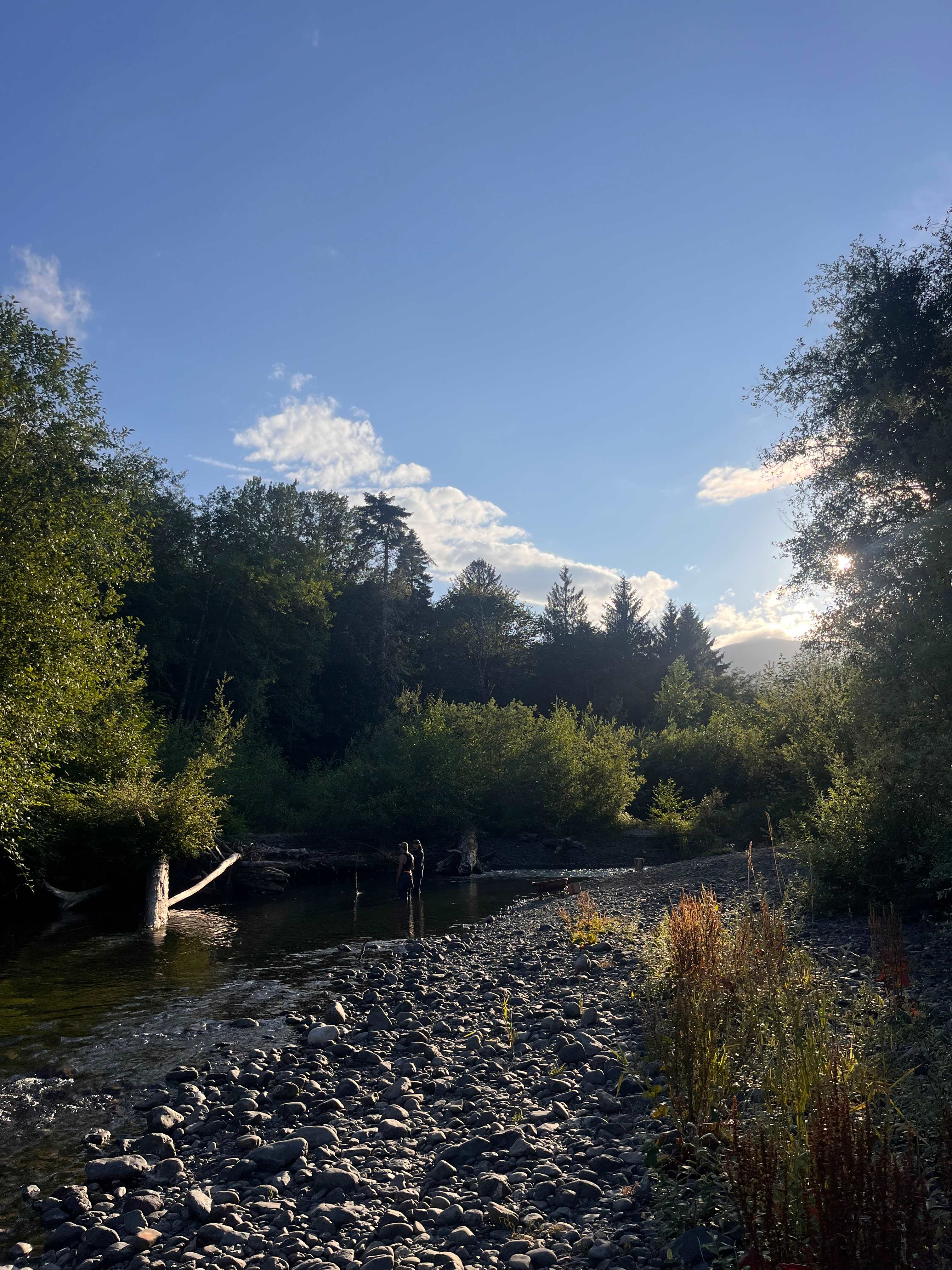 Tranquil Acres