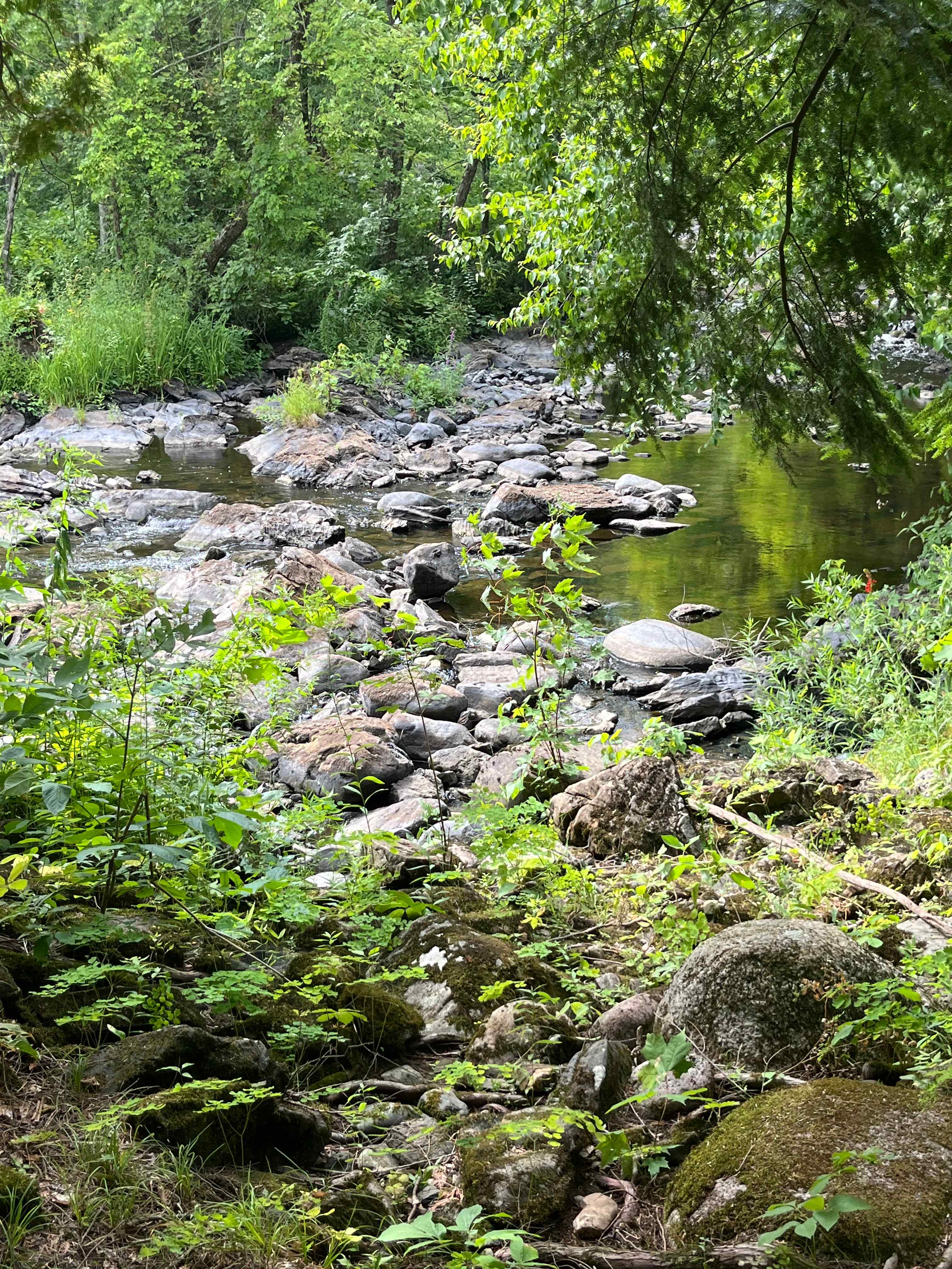 A lovely sound accompaniment to all the hang outs - the rapids and heron fishing grounds. 