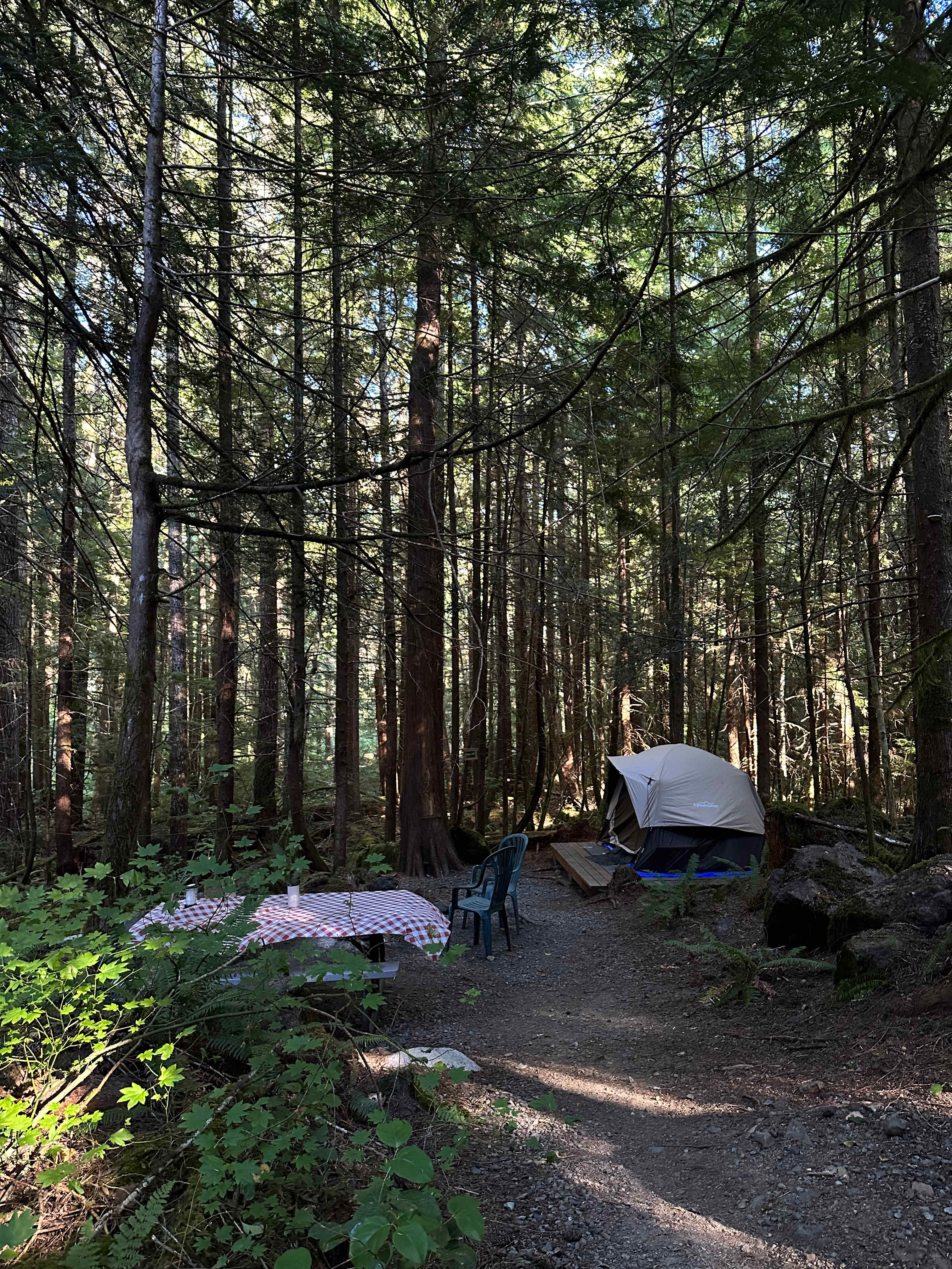 sol duc rainforest retreat
