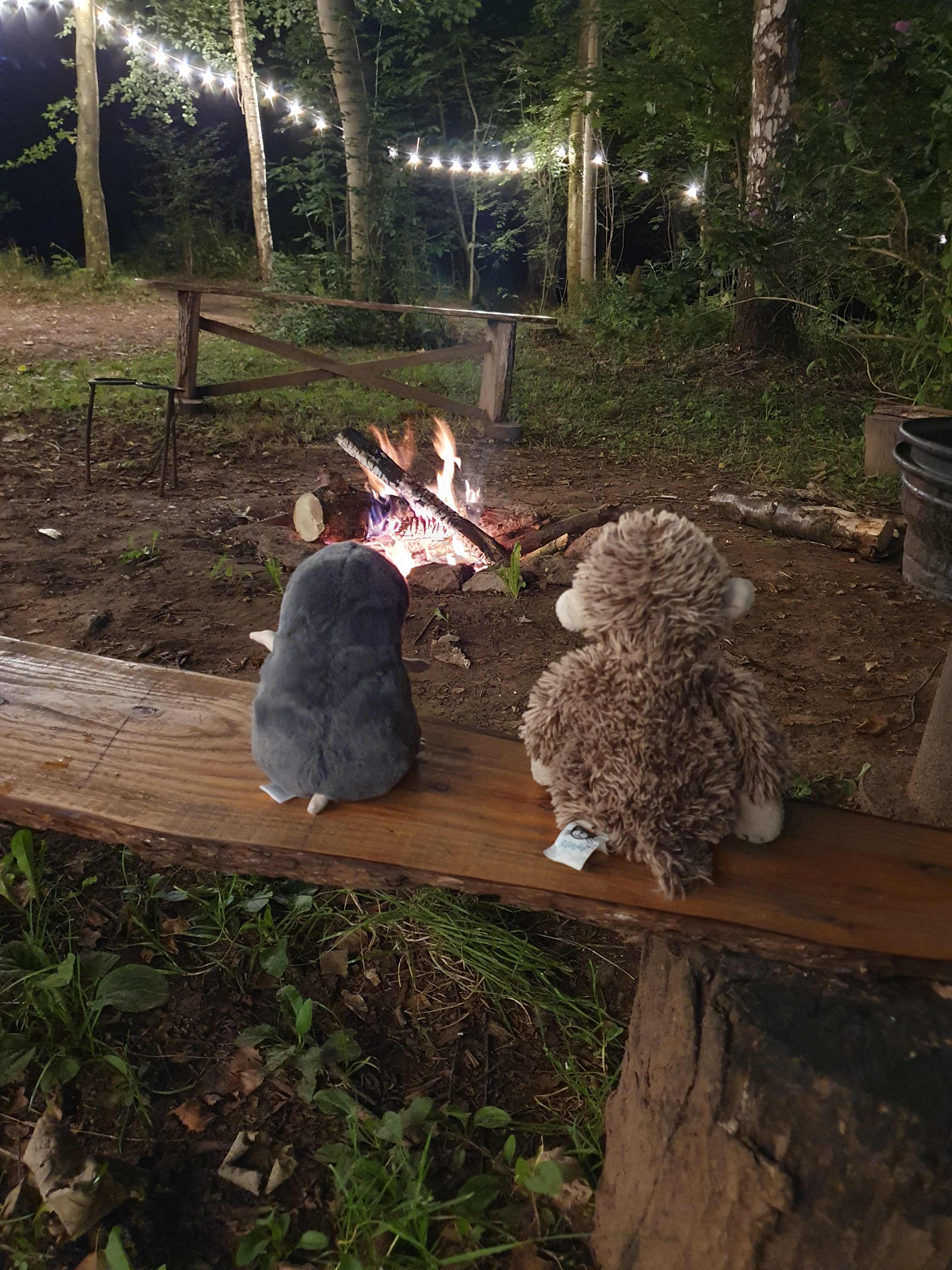 Woodland Tipi & Yurt Holidays