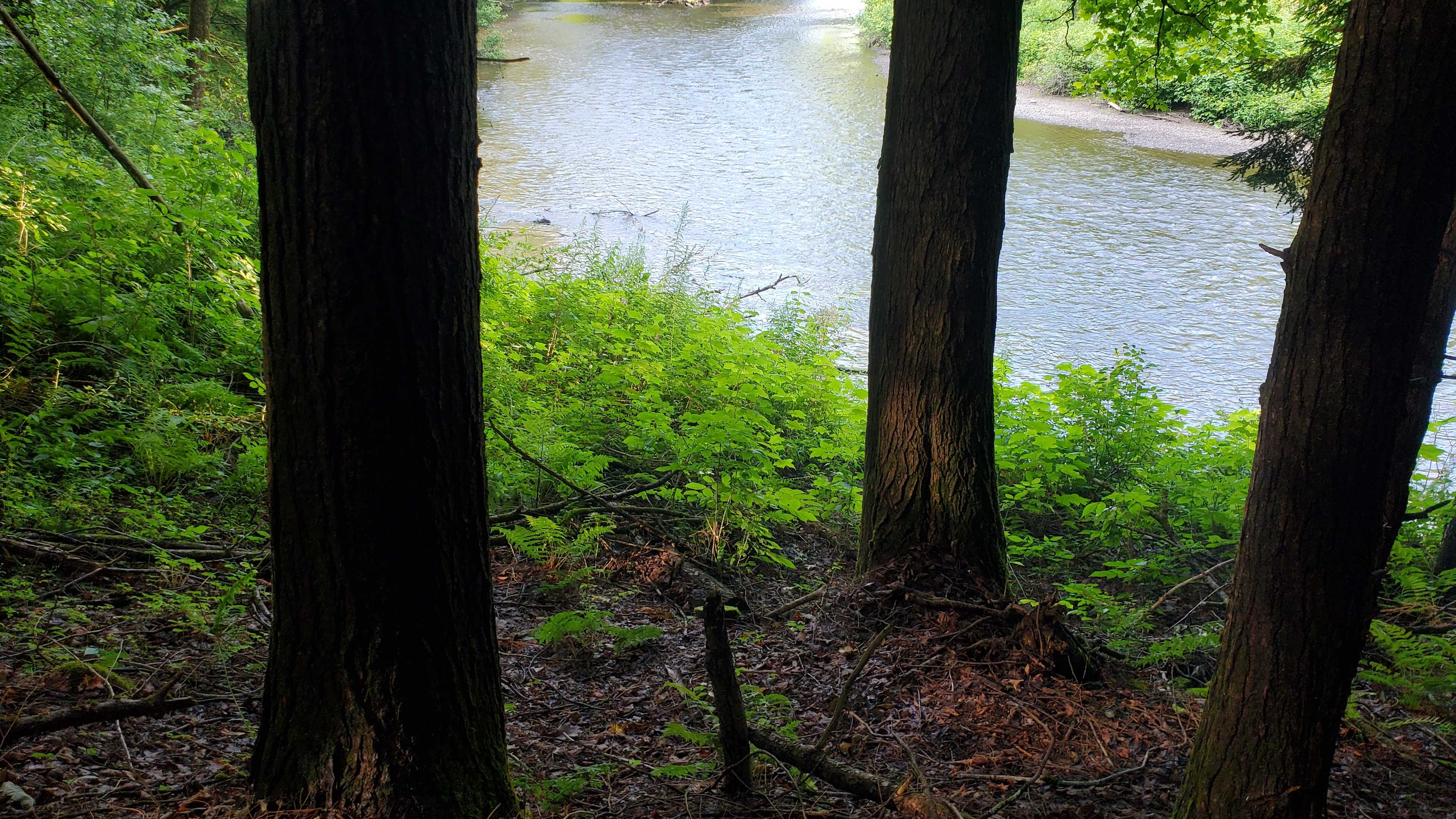 West Canada Creek Farm