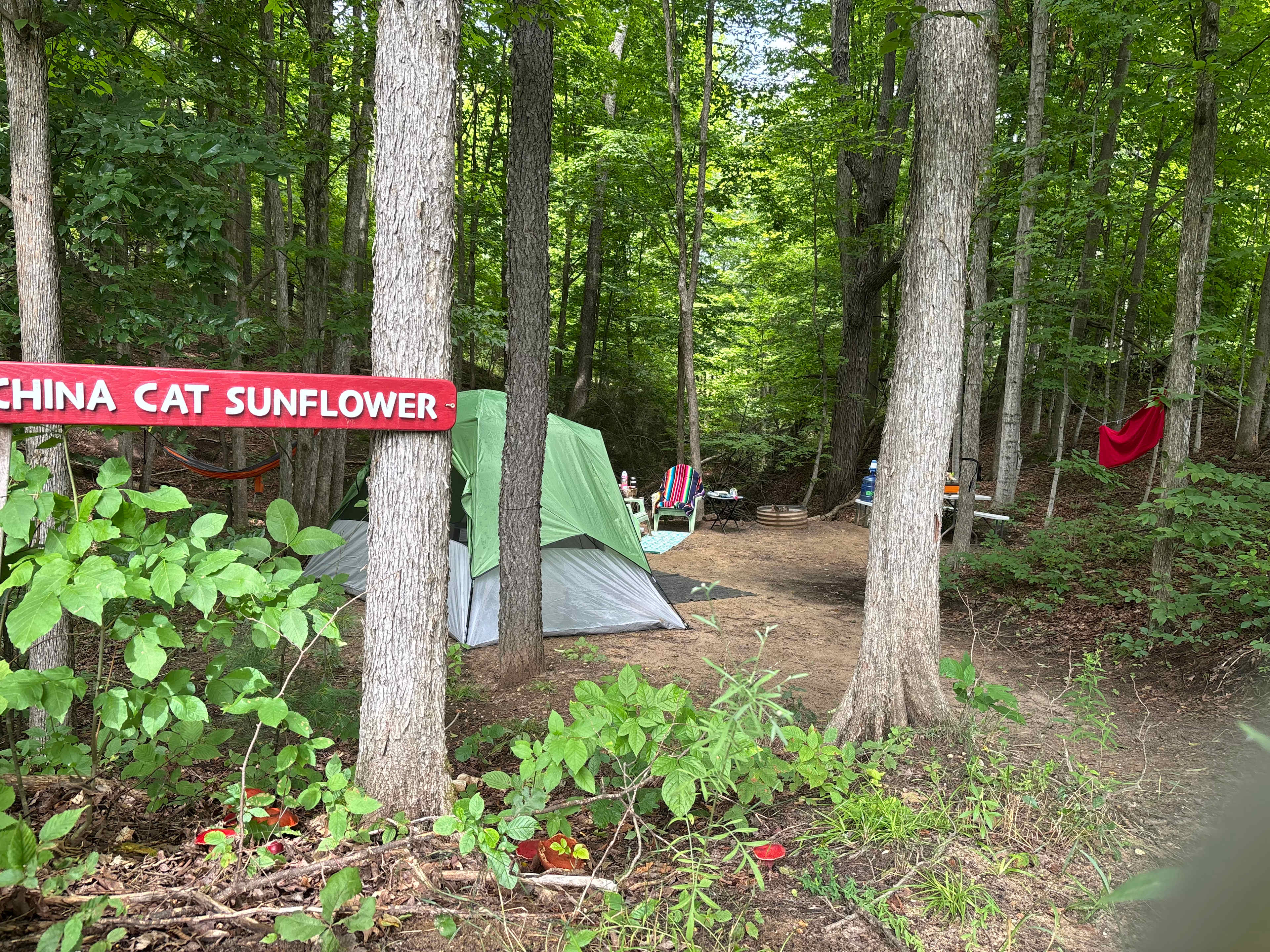 Up North Rivers Camping