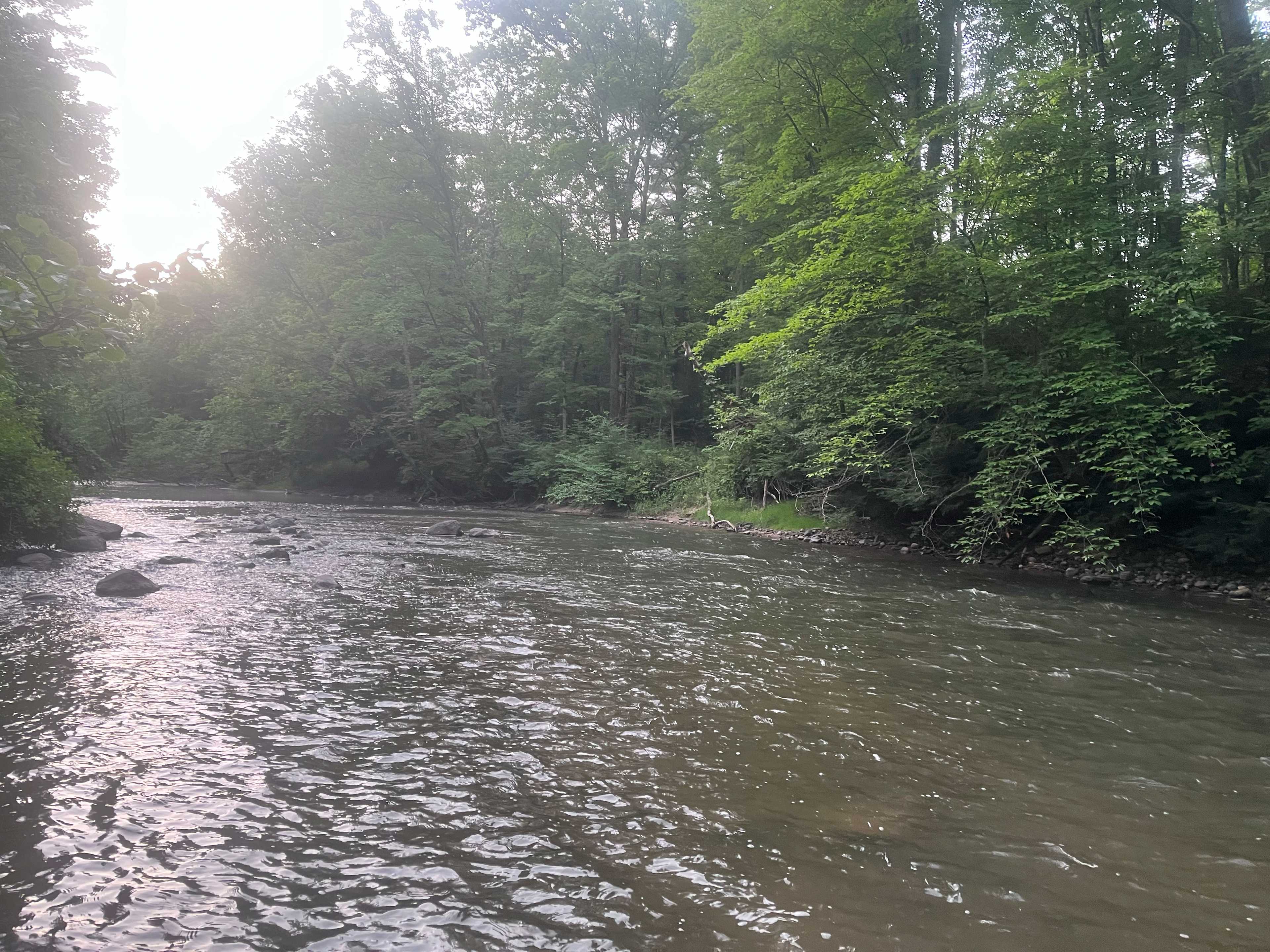 Honey Creek (18+ only)