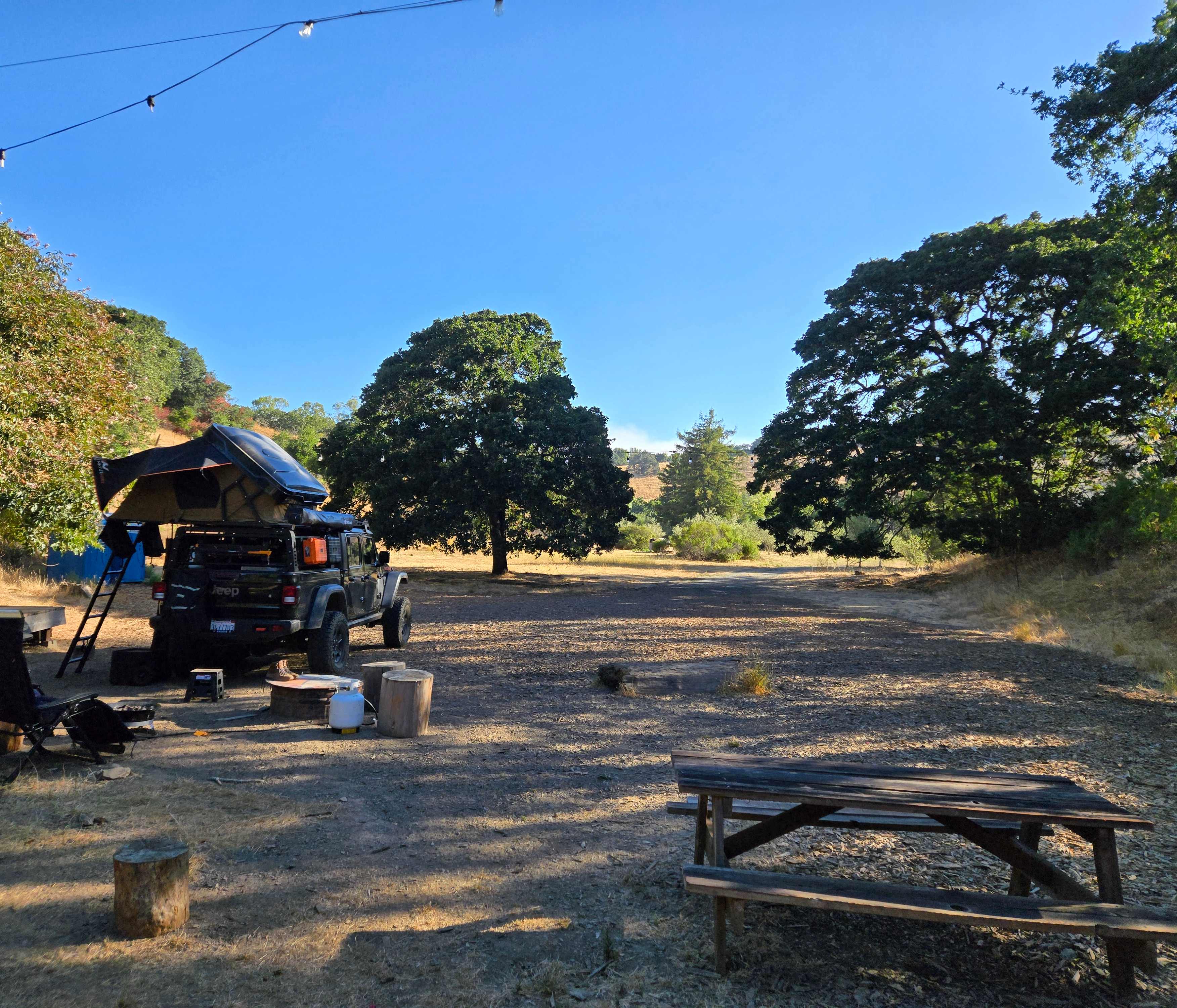 The Olive Farm