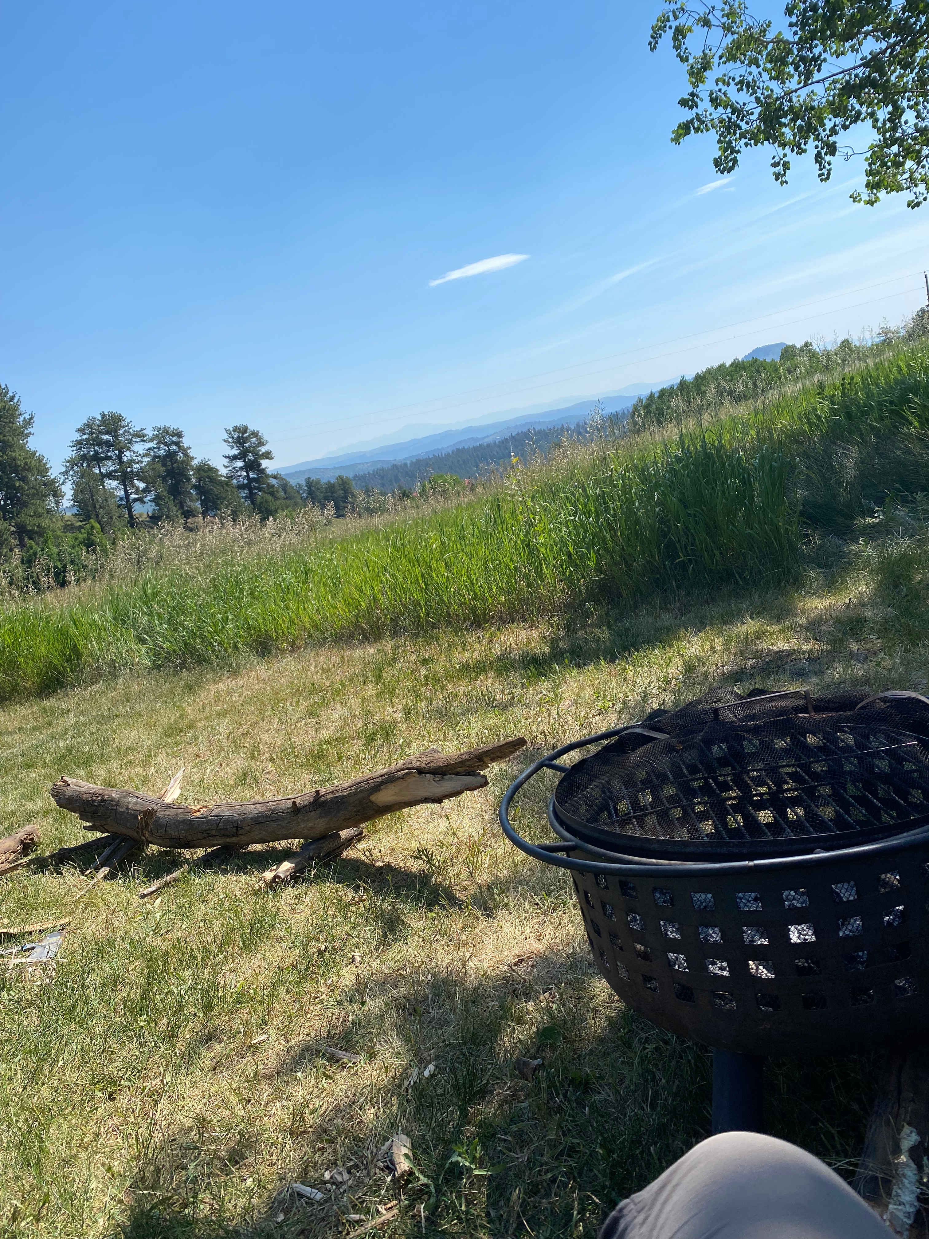 Pikes peak from Quaking meadows campsite 3