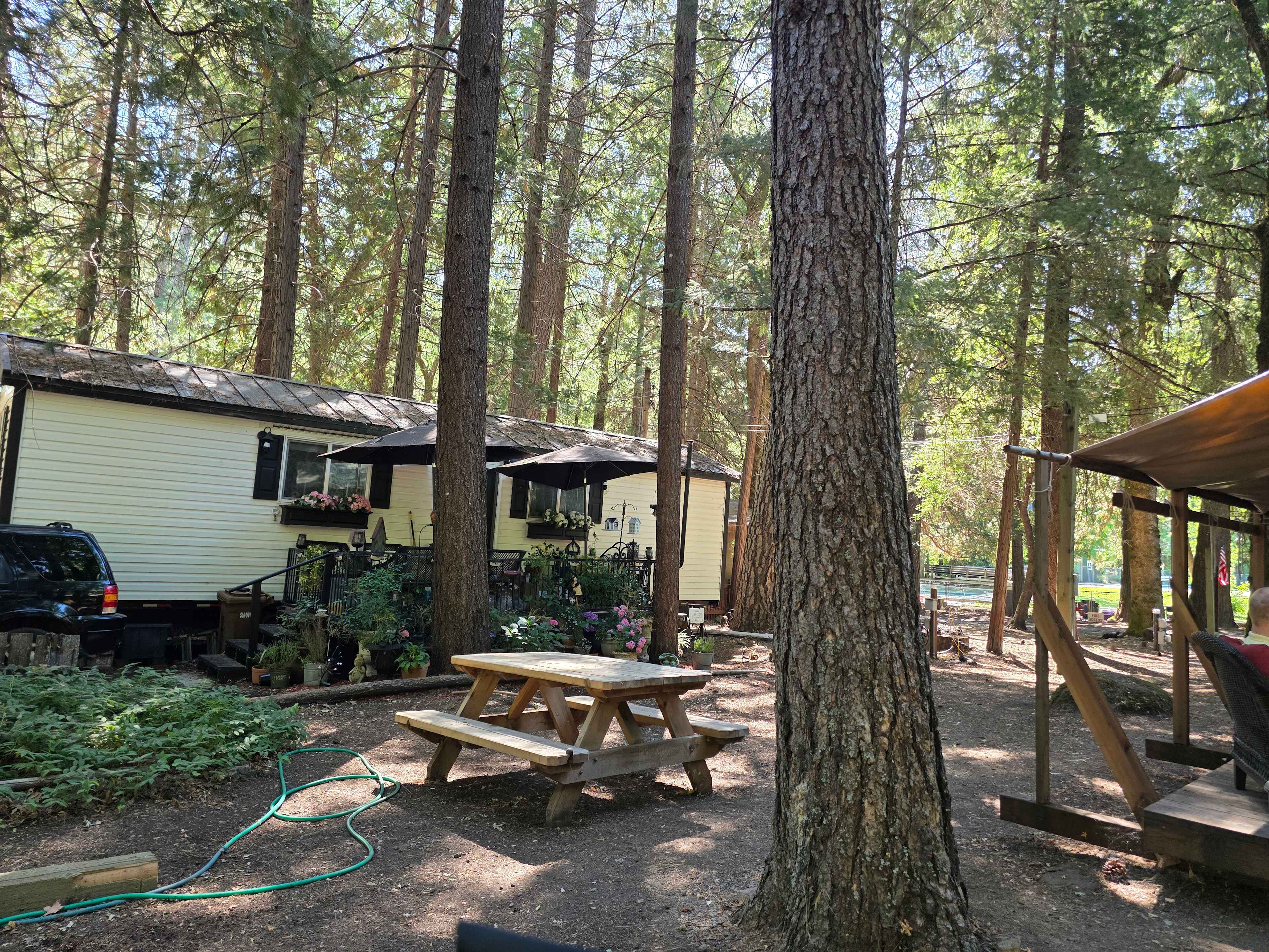 Pine Grove Cobb Resort