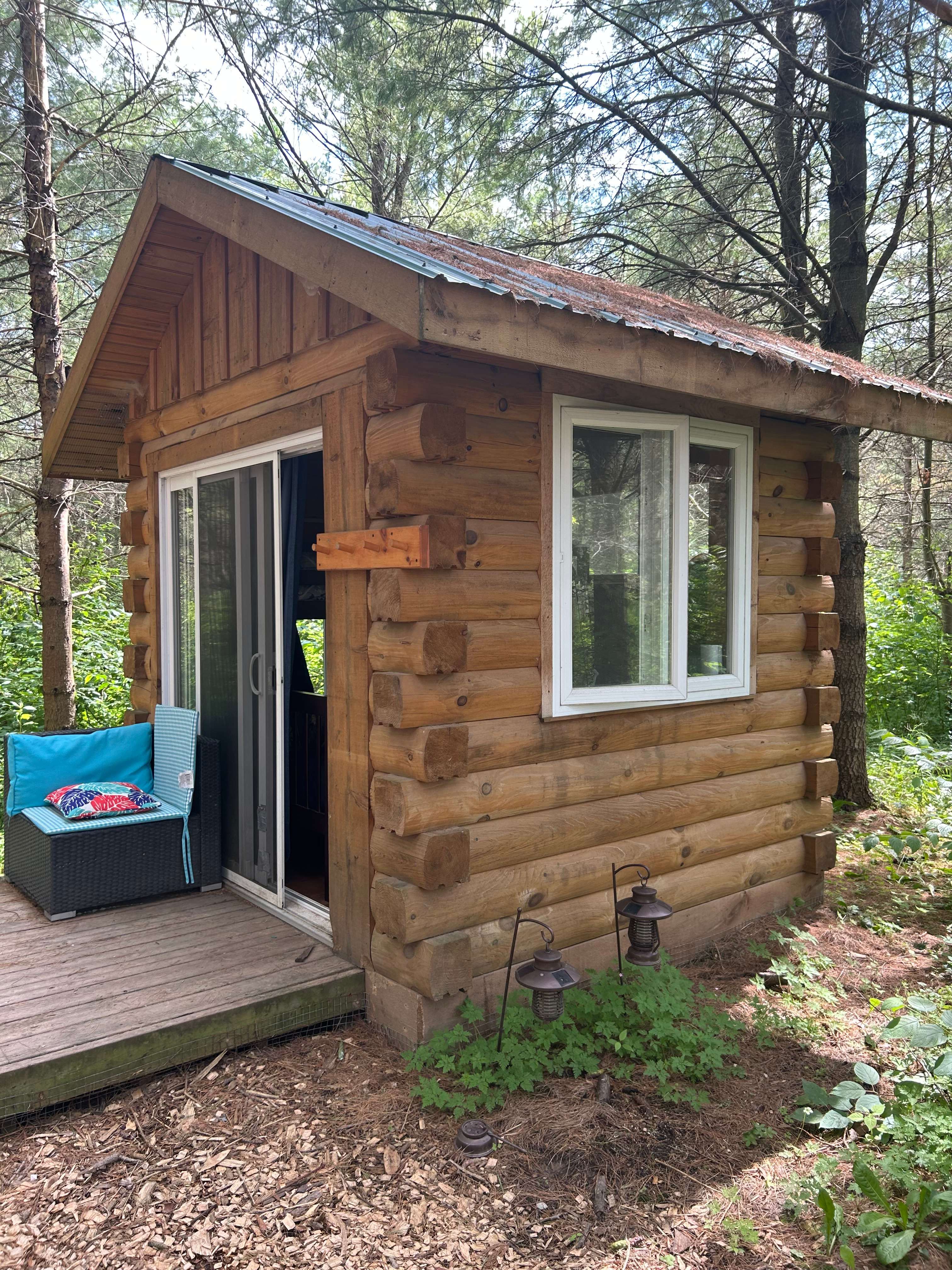 Forest Bunkie 