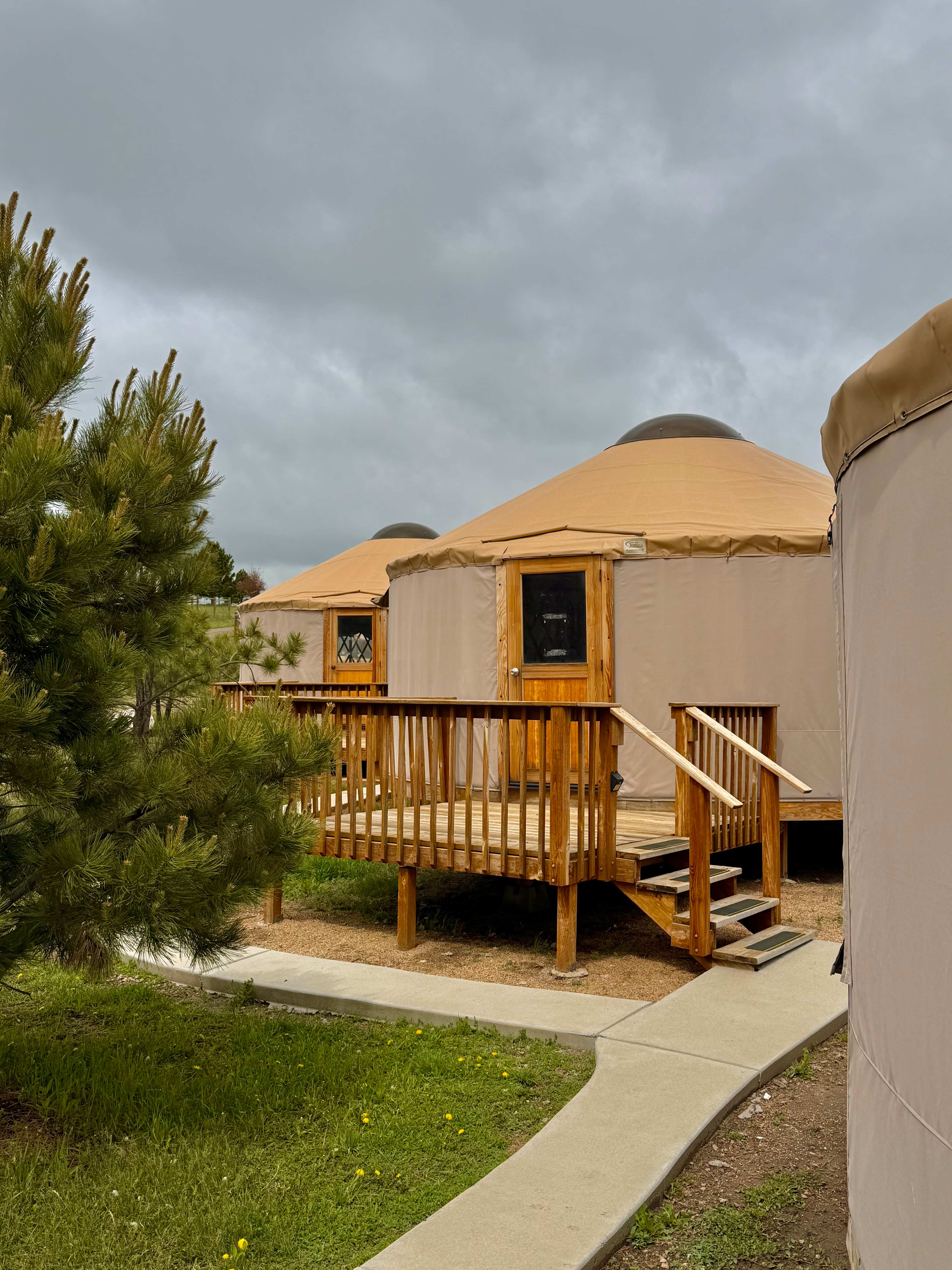 Colorado Black Forest Horse Ranch