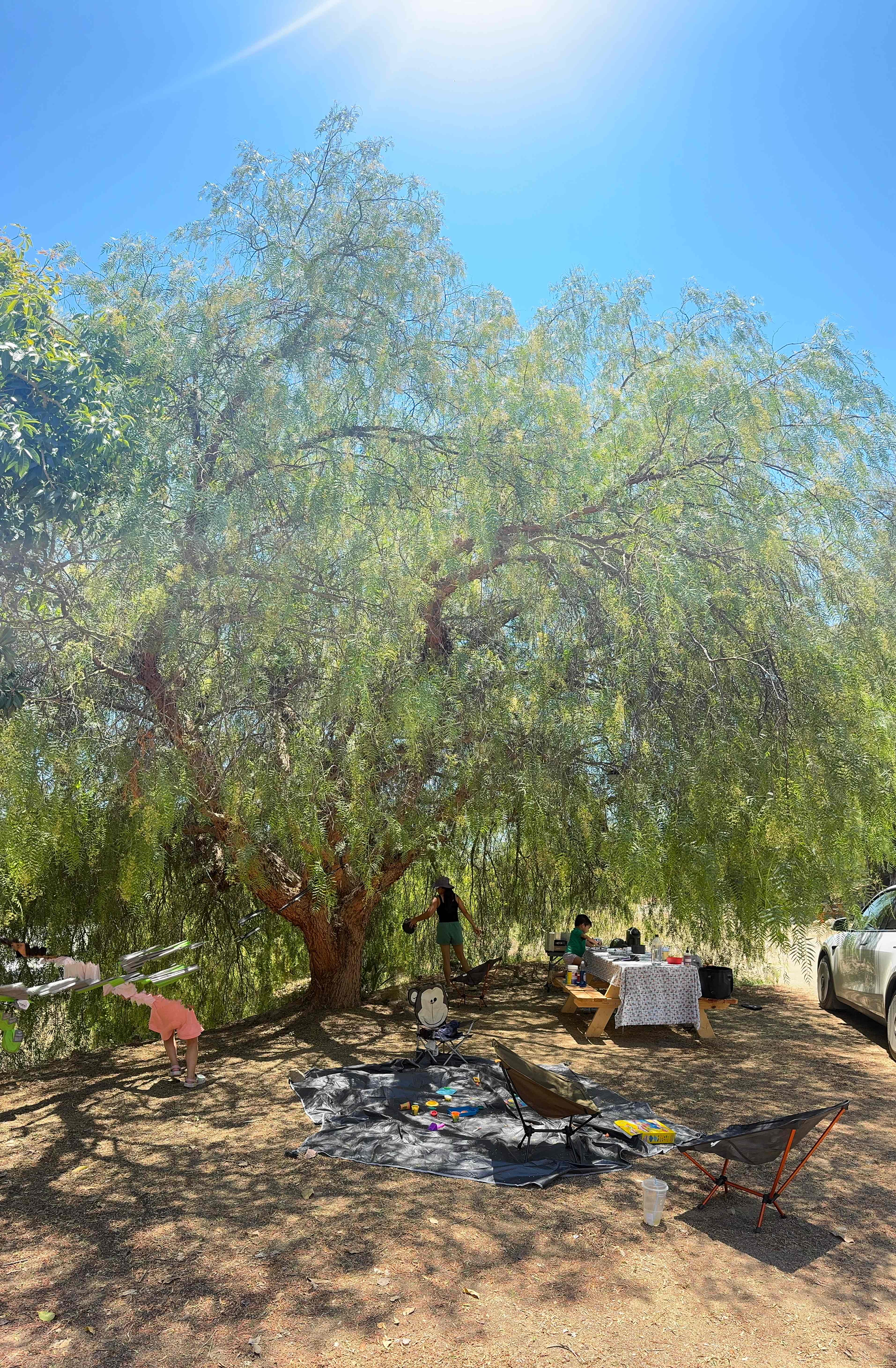 SoCal Campground
