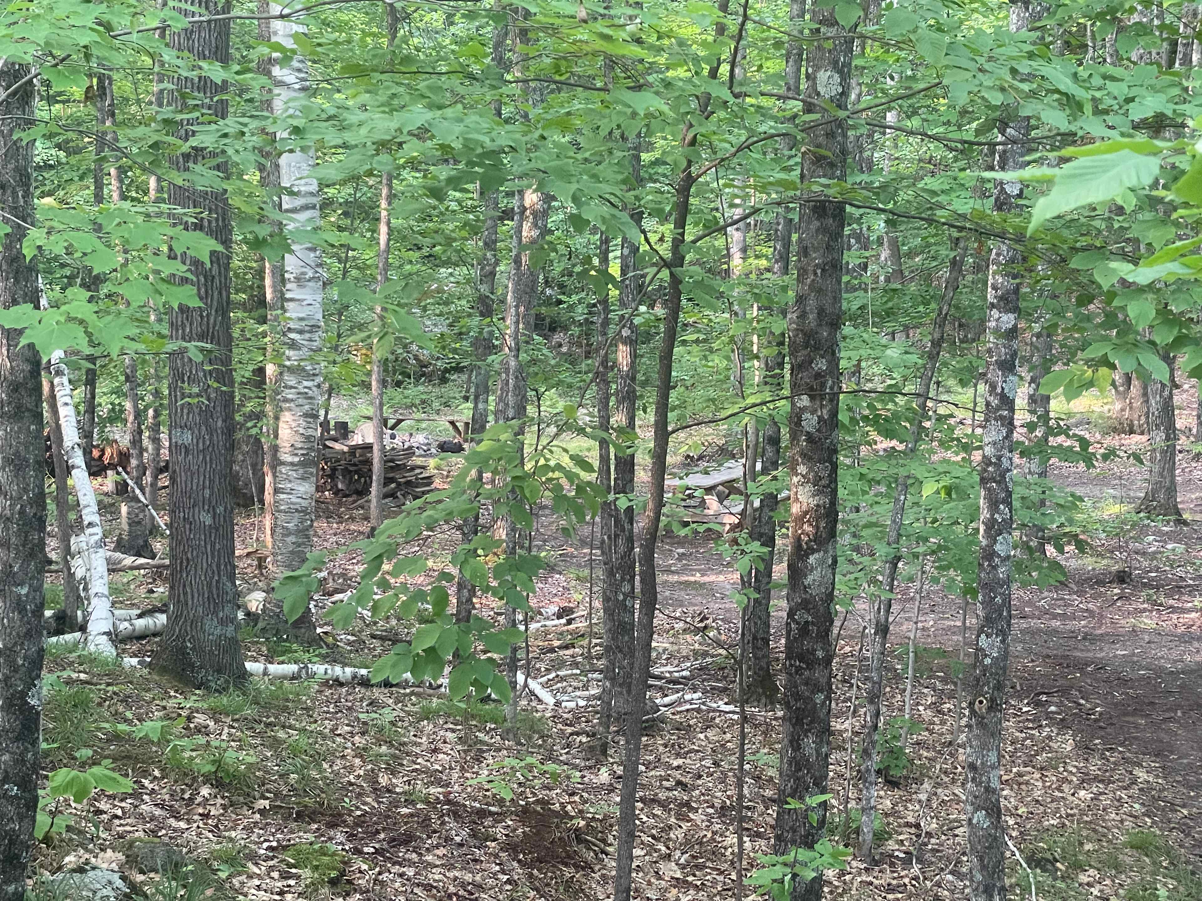 Fire pit area