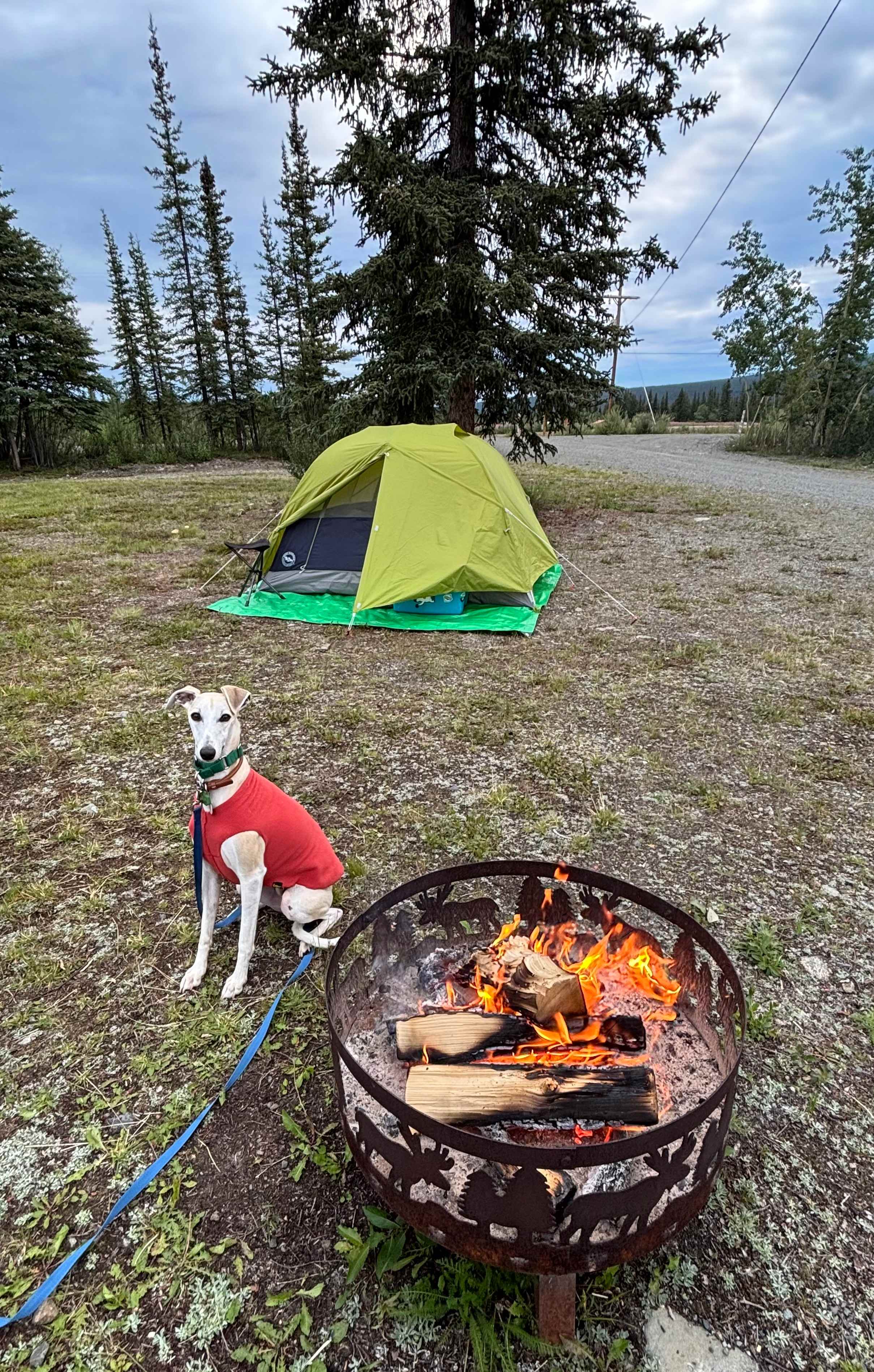 Site 1 with the fire ring