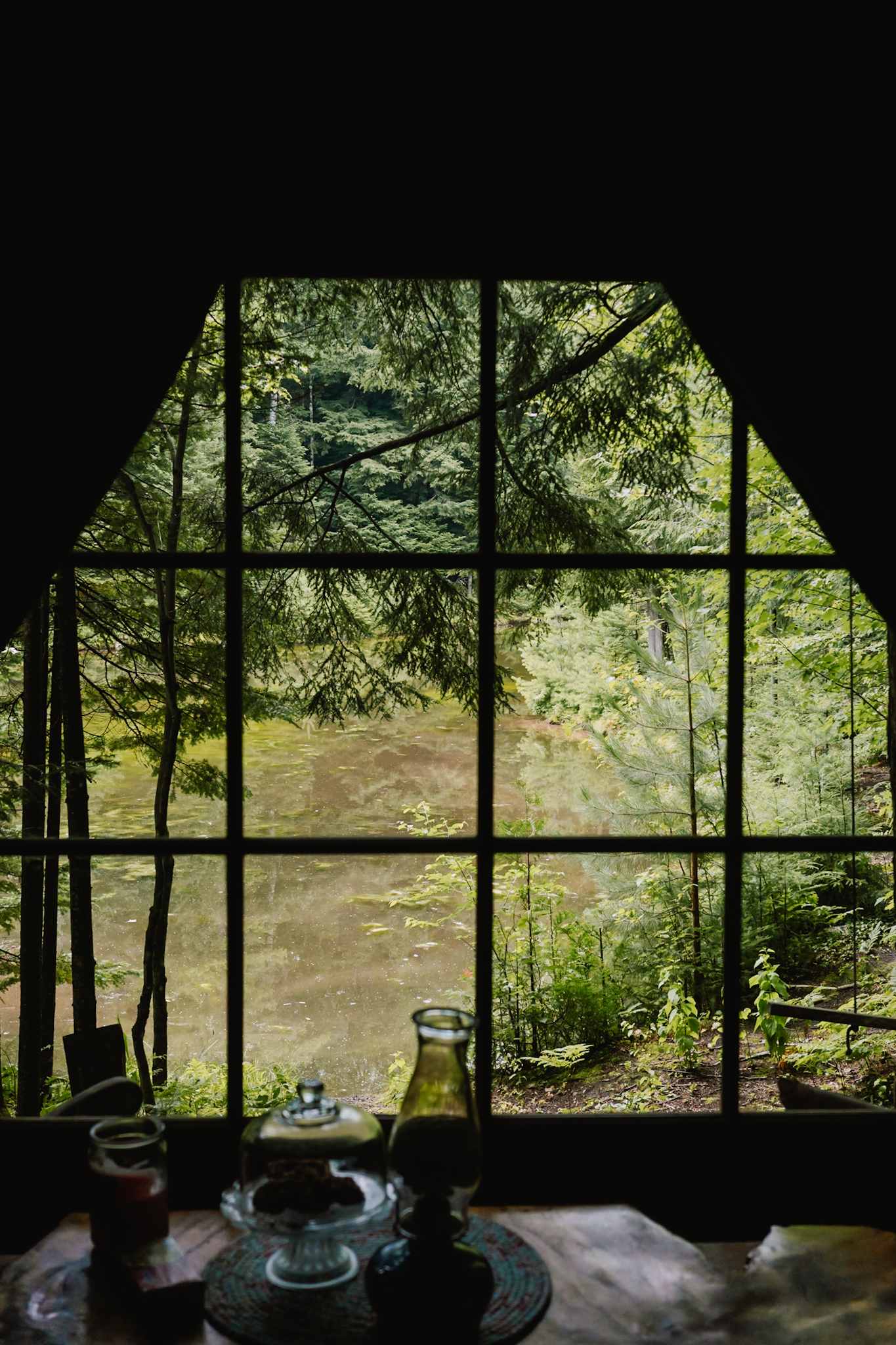 Bear Tree Homestead