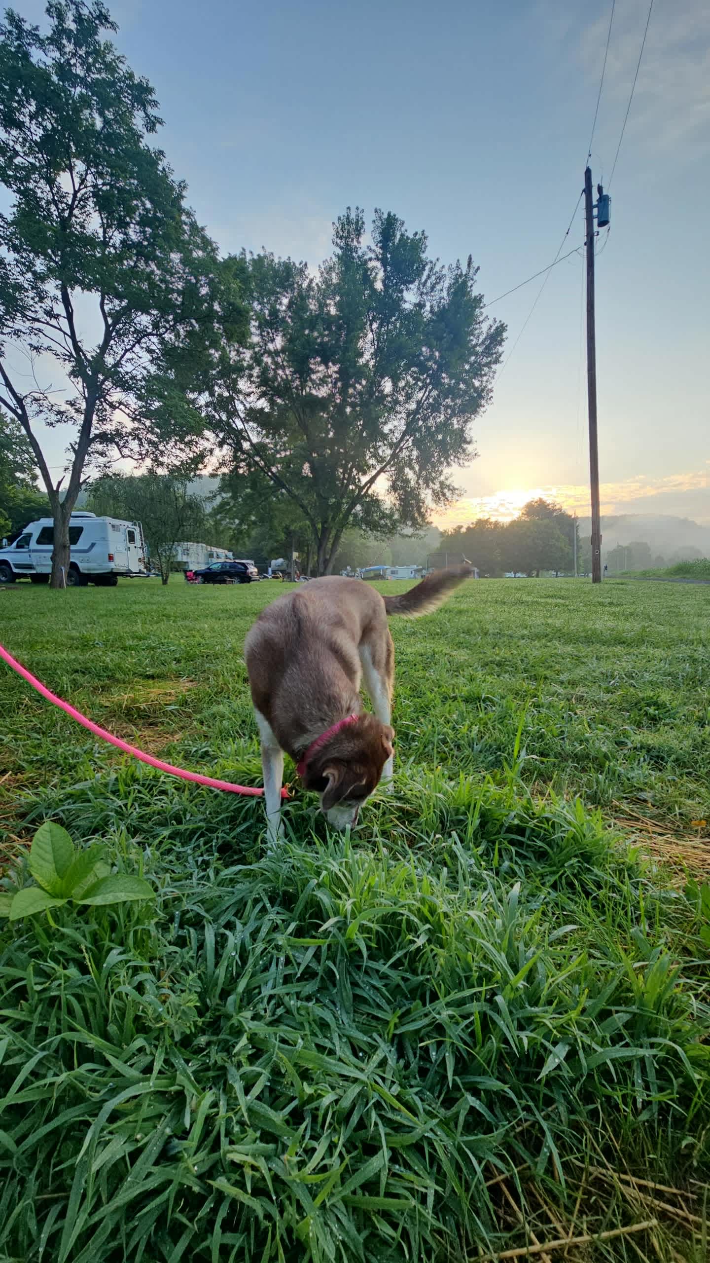 Morning walks were breathtaking 