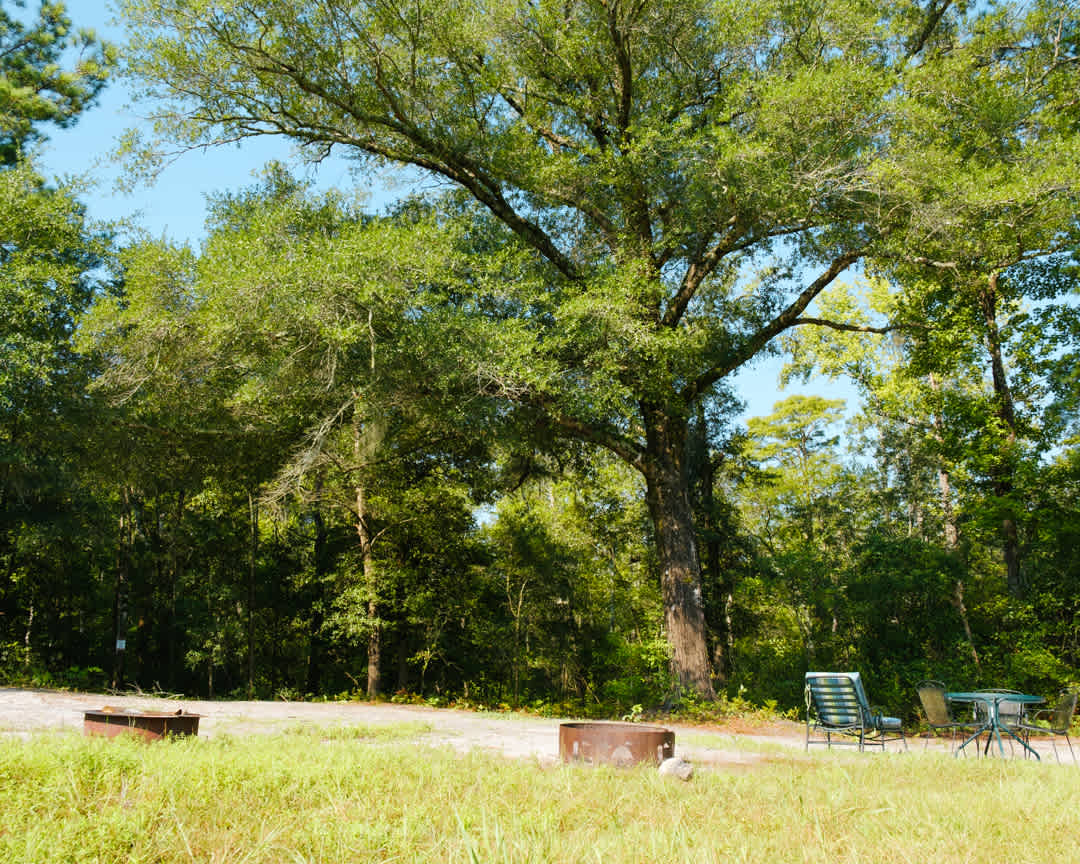 This was the live oak campsite!
