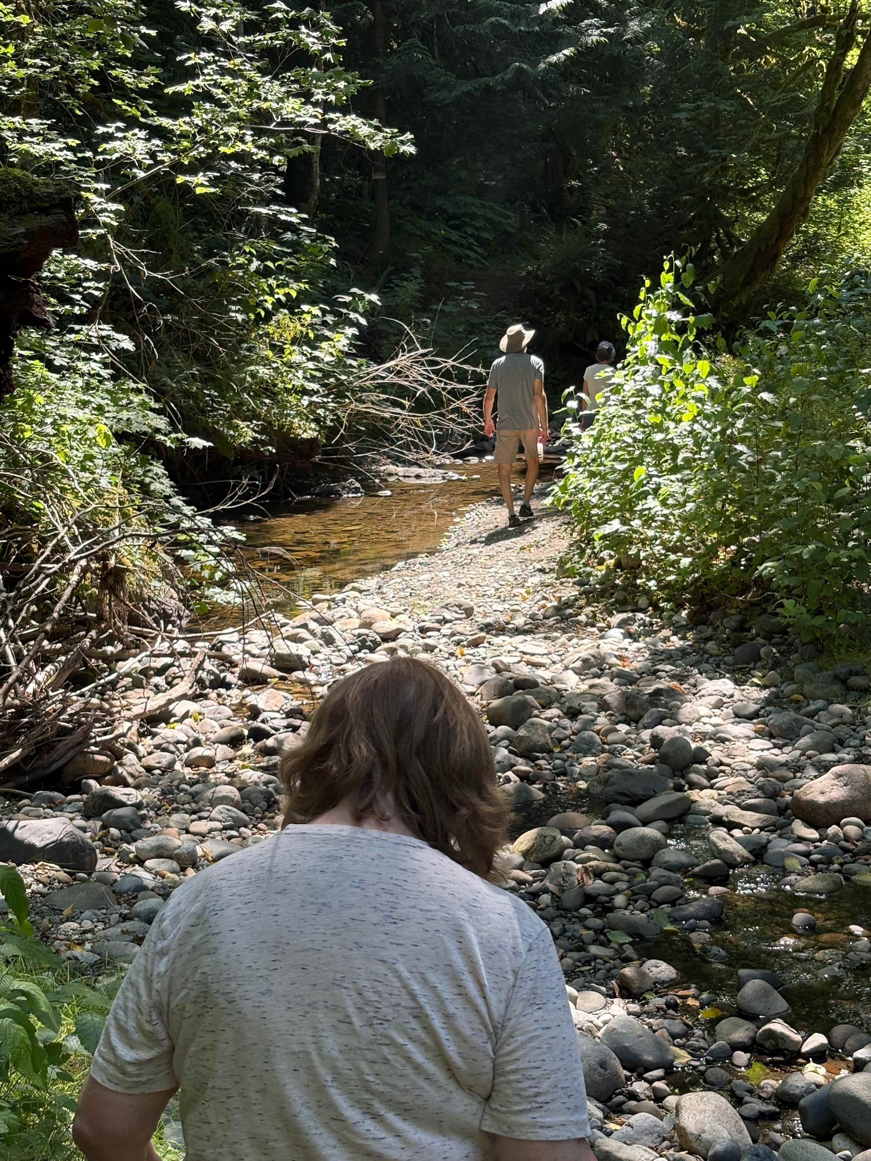 Trail Creek side