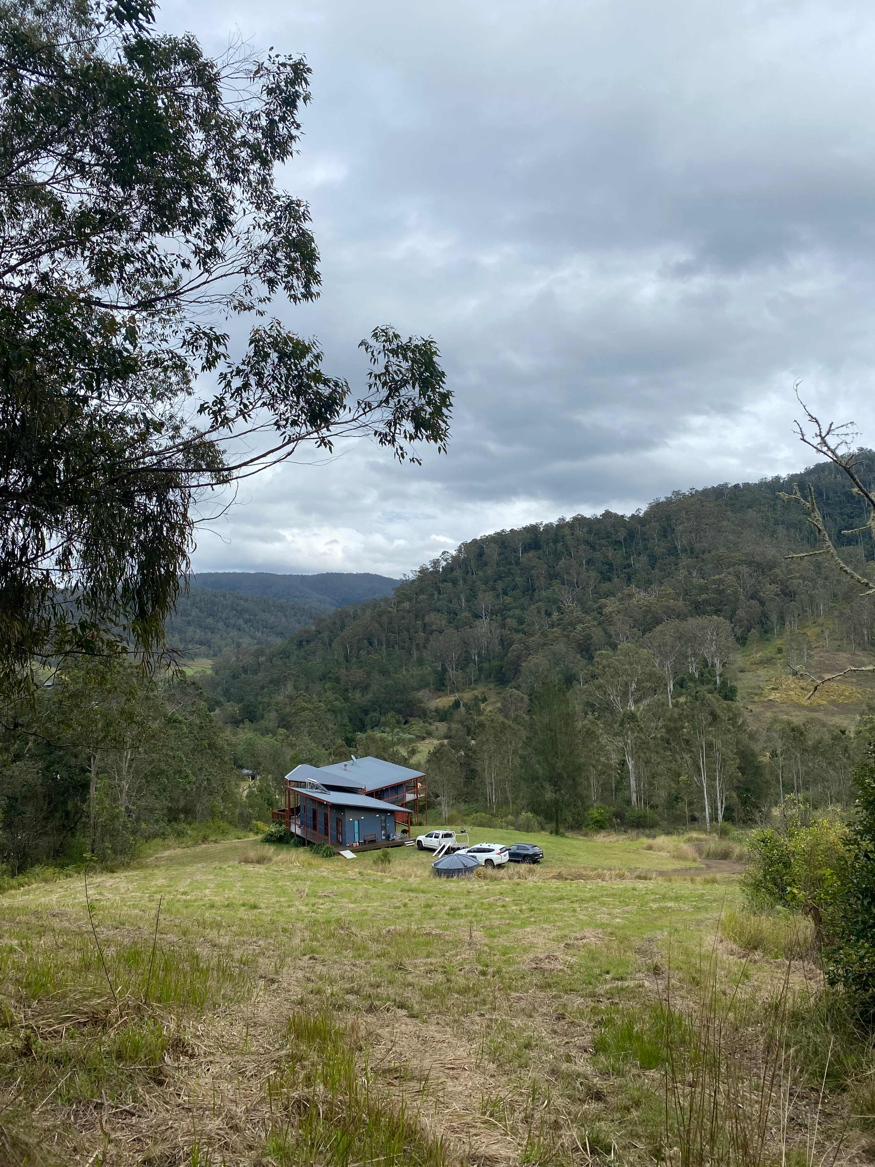 Figtree Farm at Findon Creek