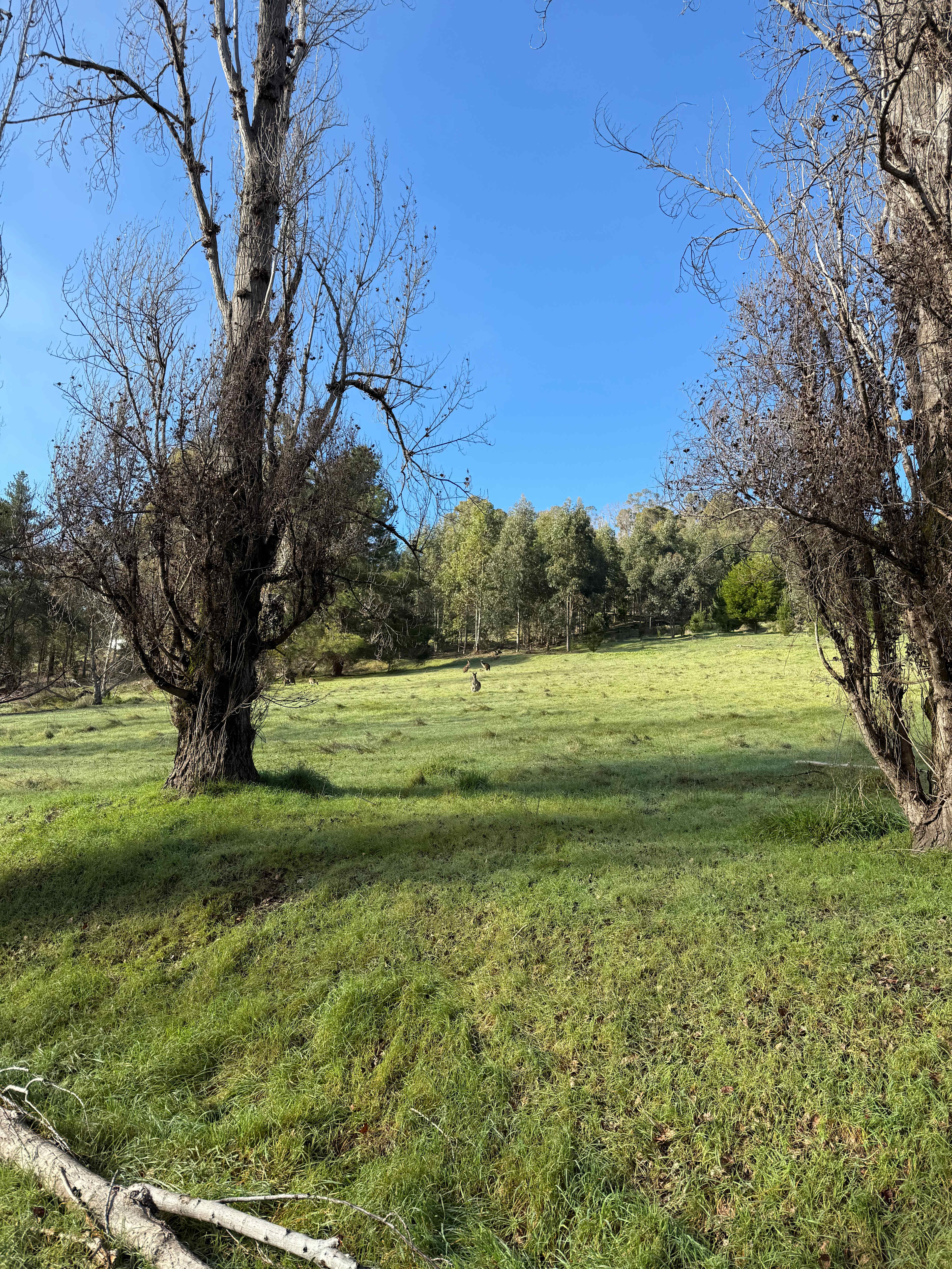 Lewana Campsites