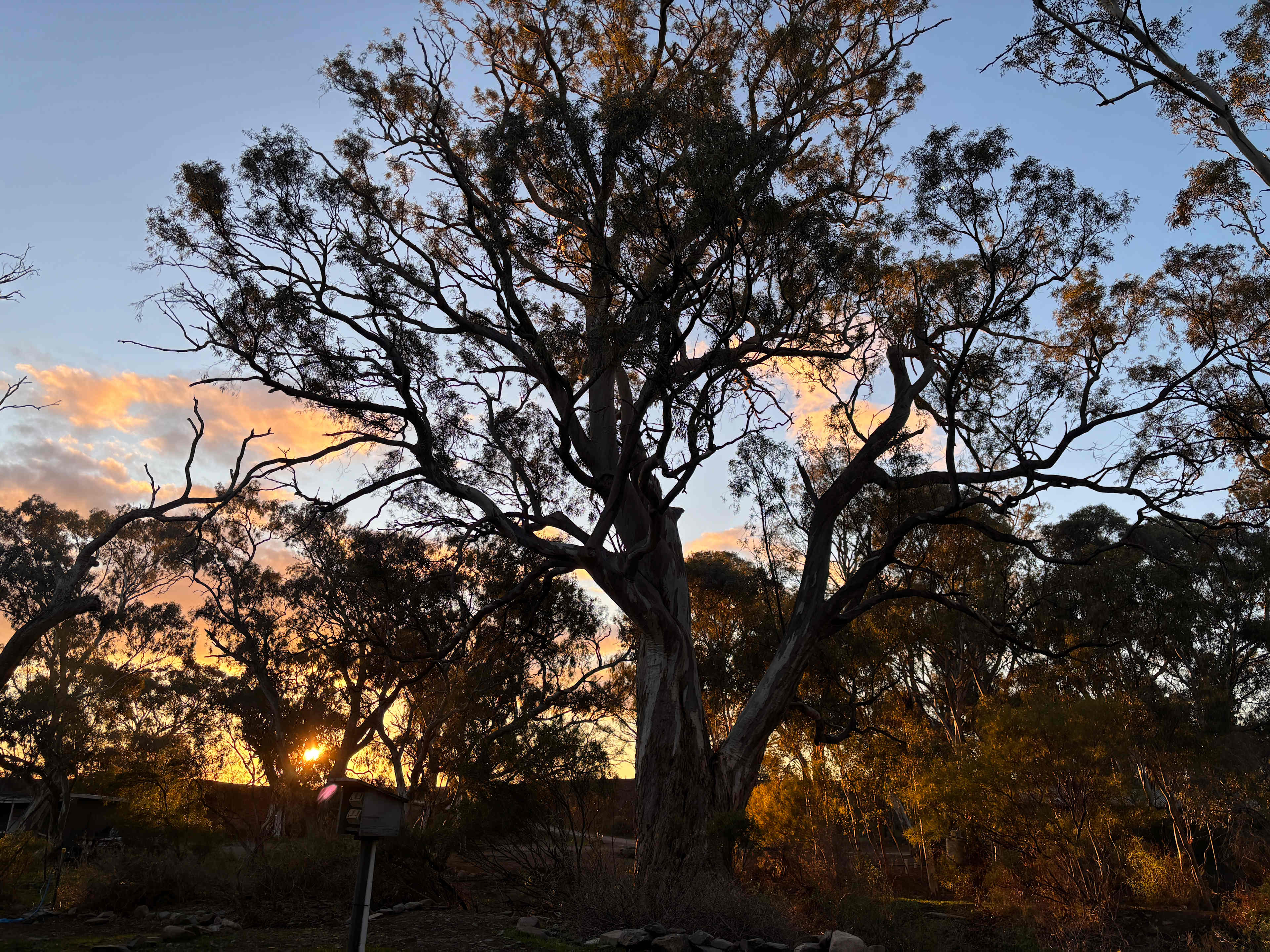 Spear Creek Holiday Park
