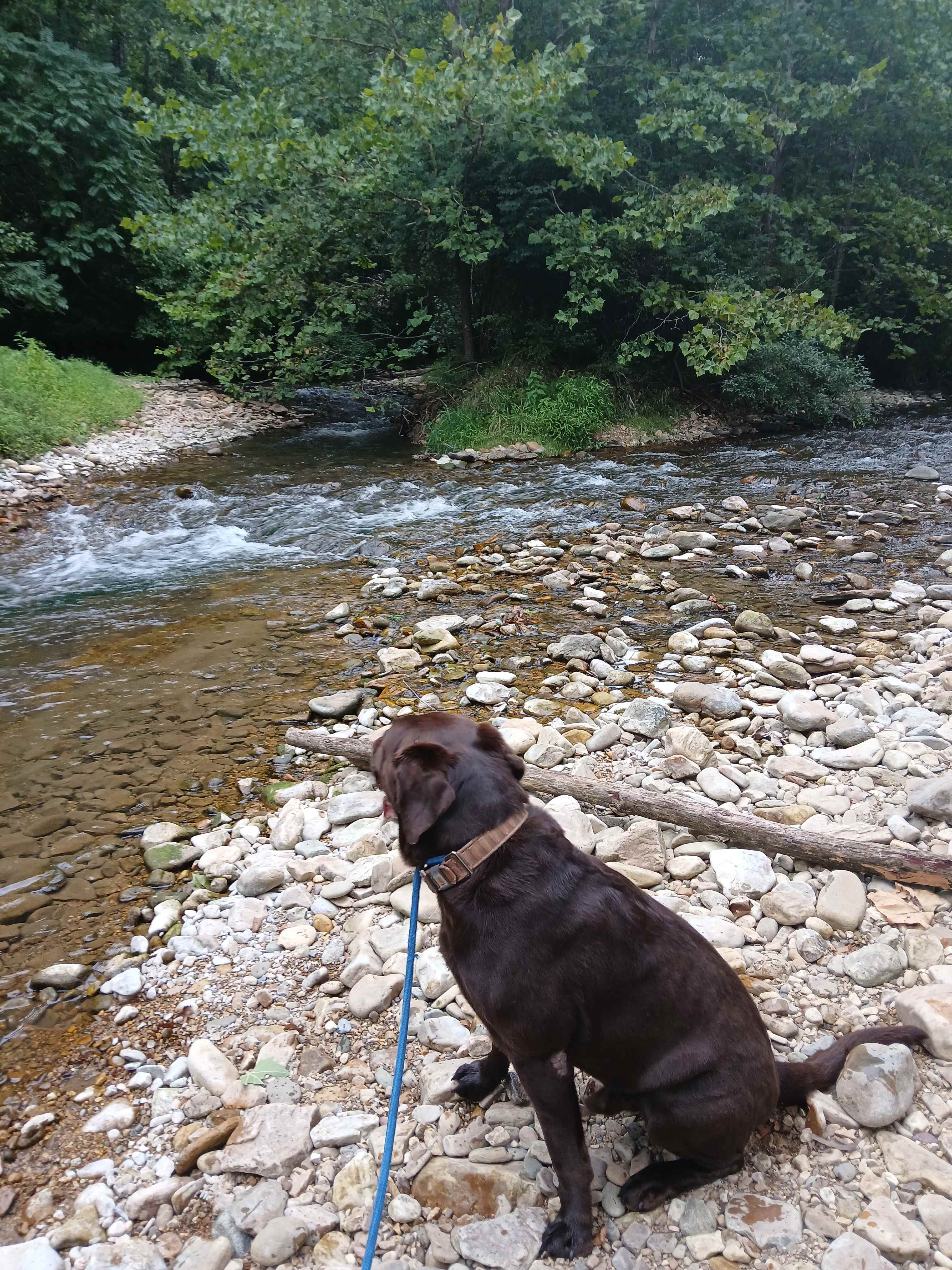 The water was low but just right.