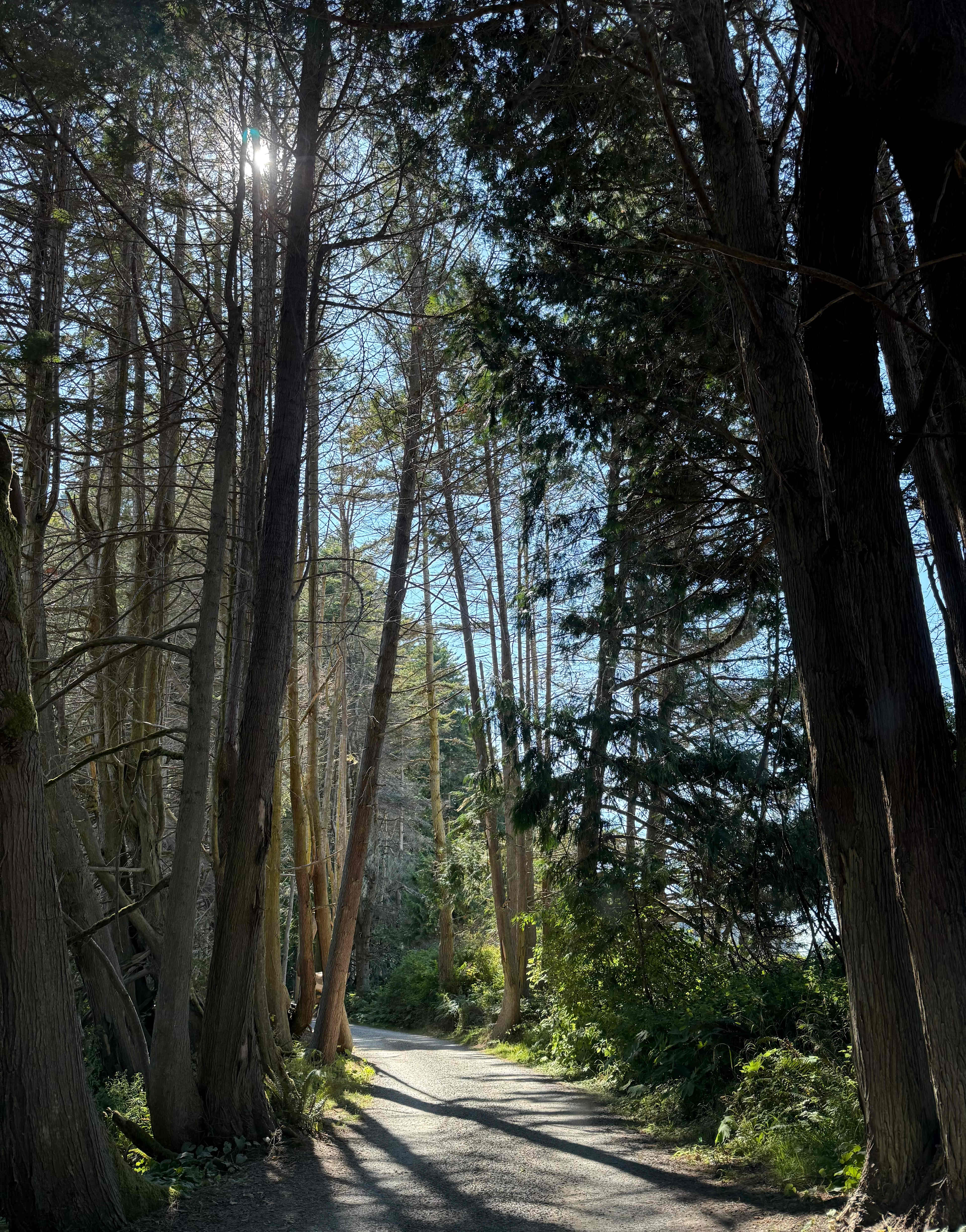 Crescent Beach & RV