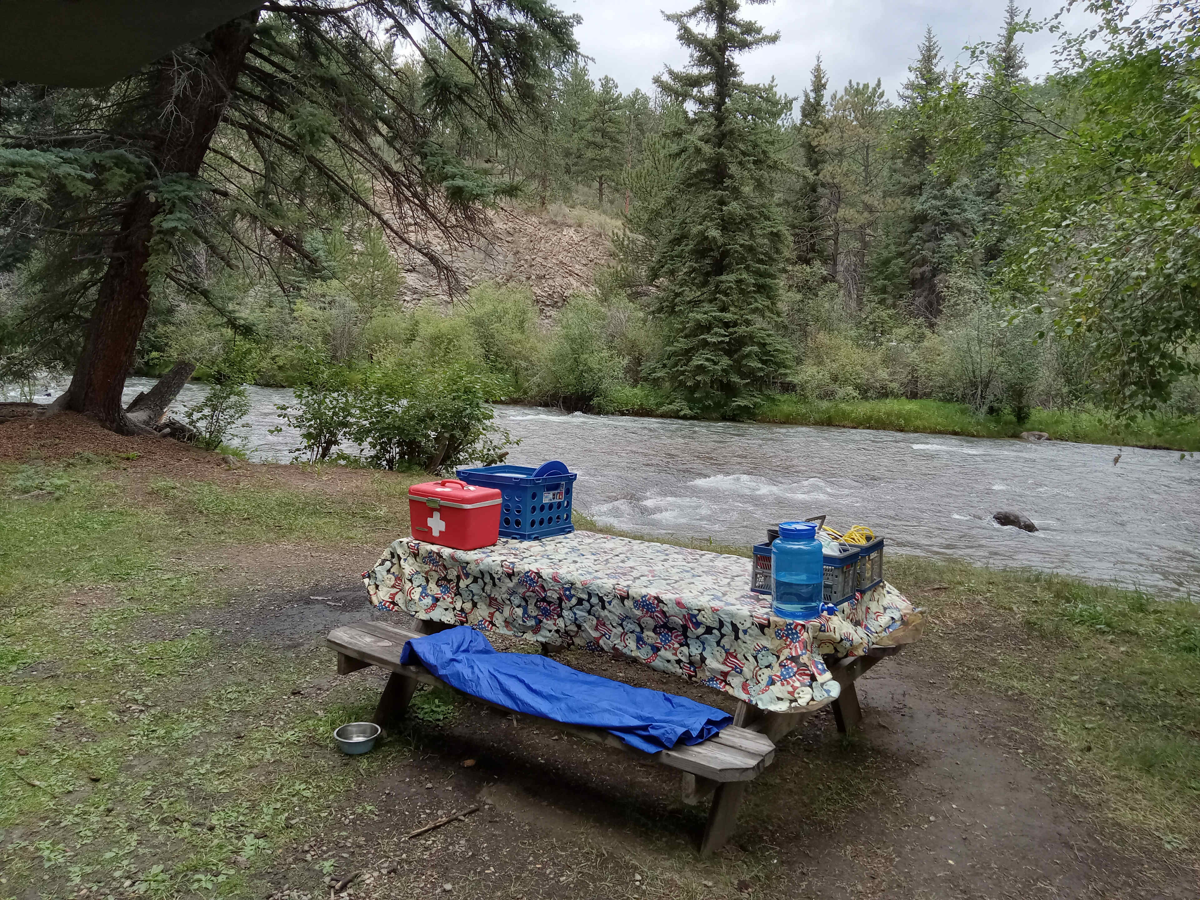 Watching the creek & letting the rest of the world go by.