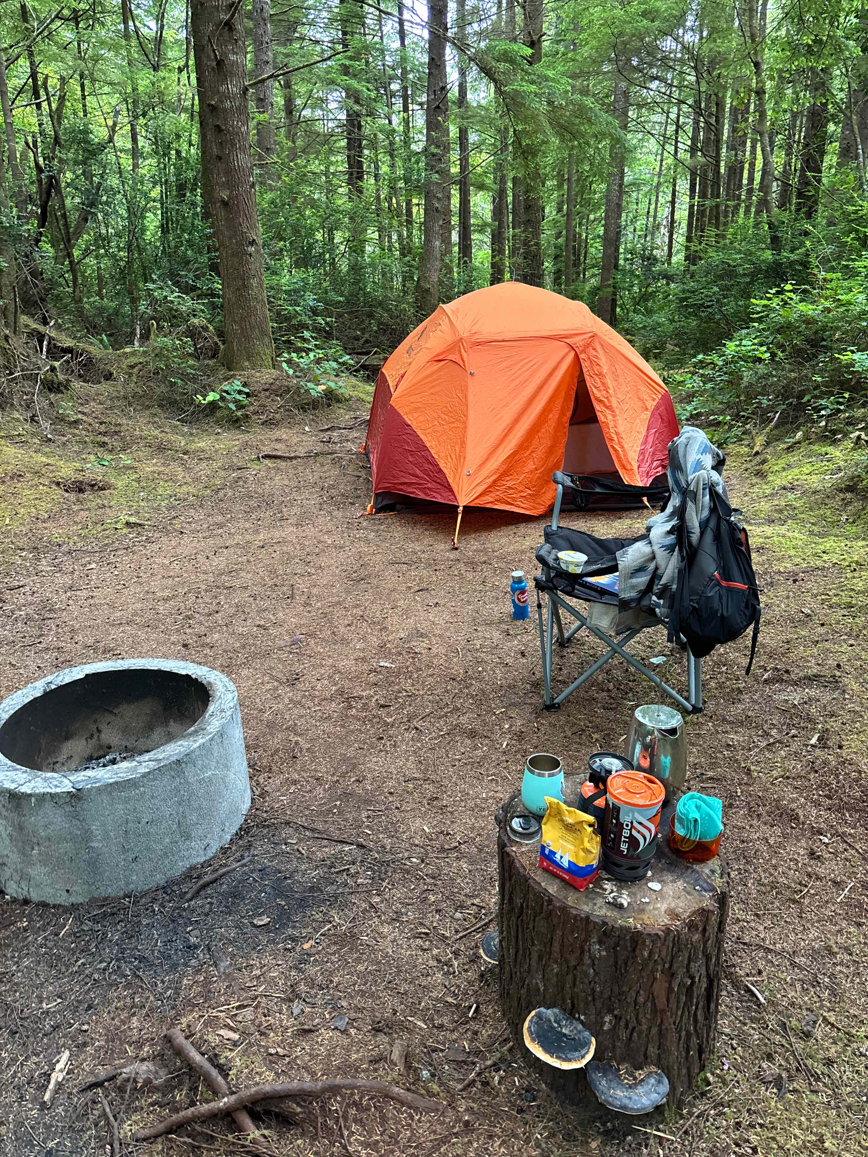 Trip Camp- Secluded Forest by Beach