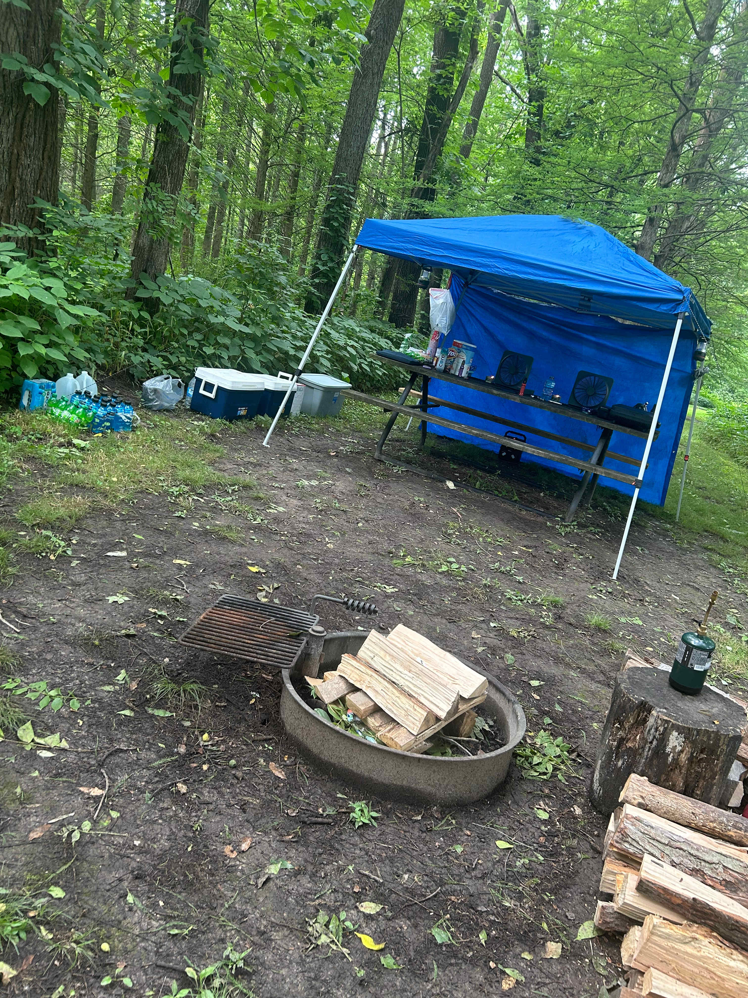 McCully Heritage Project