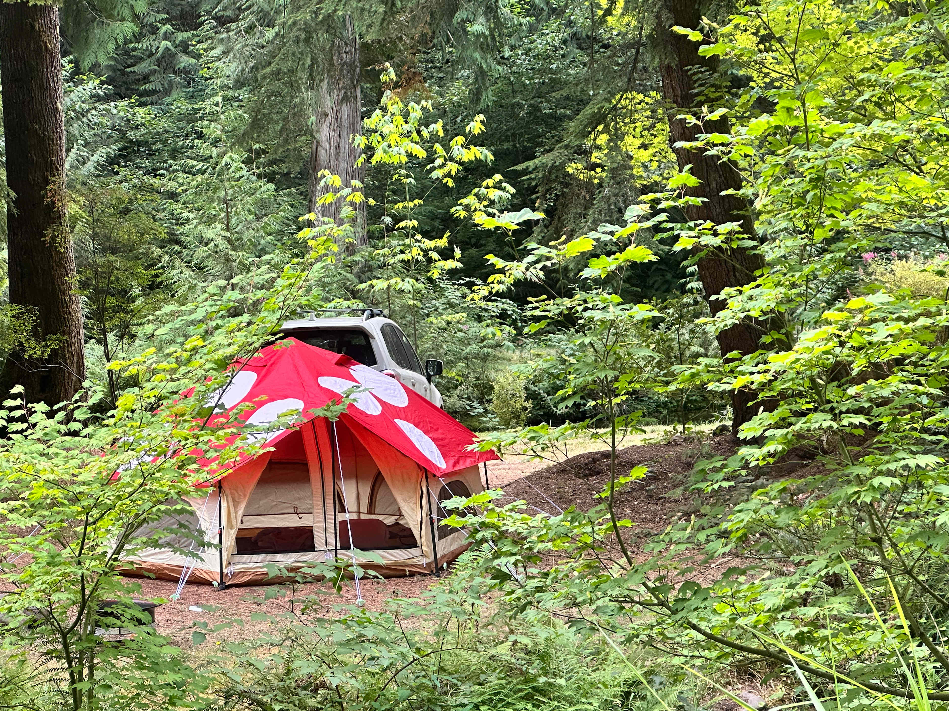 Photo taken from across the campsite. Other side of the bridge. 