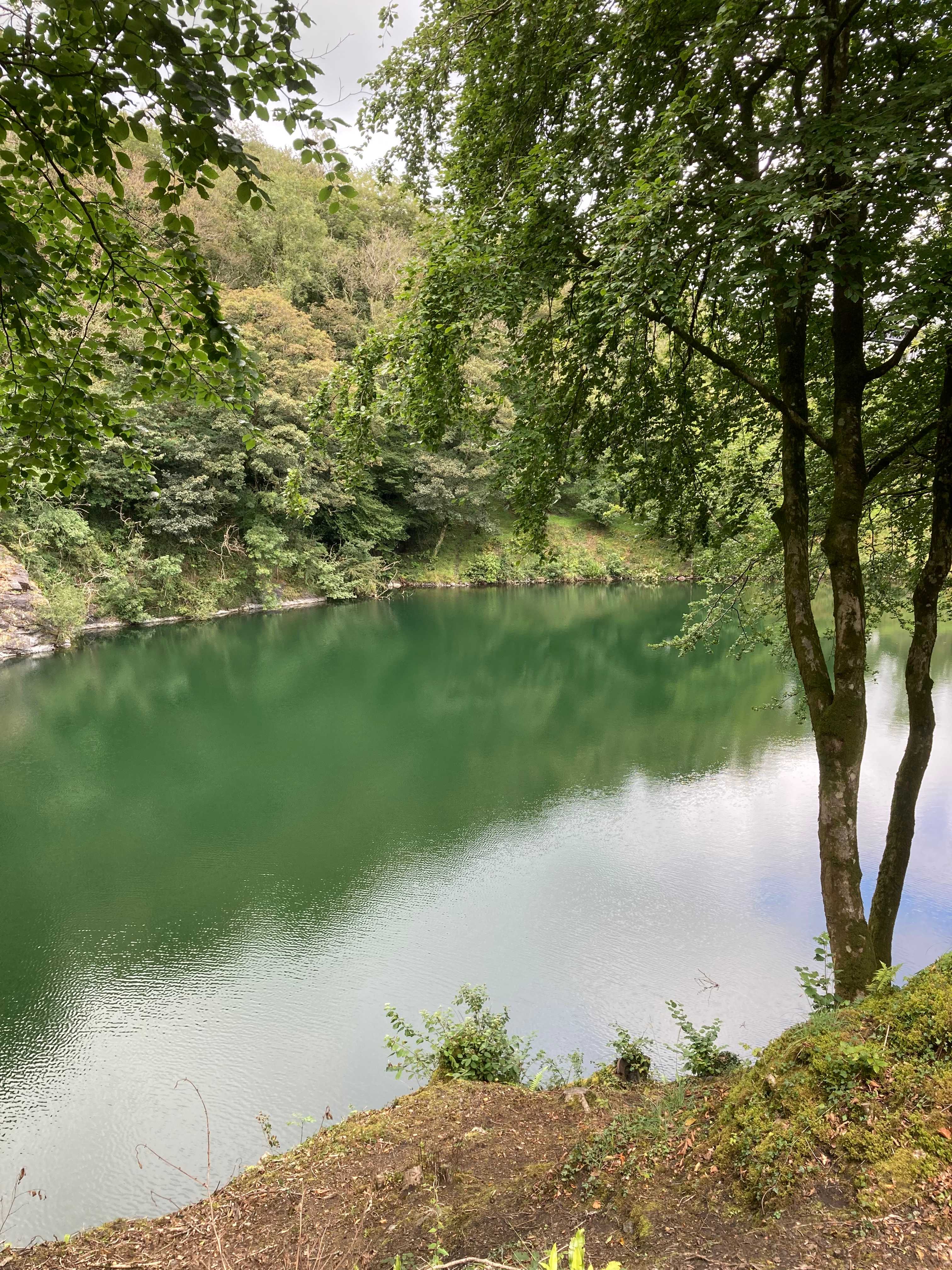 Meldon Lake and Woods Wild Camping