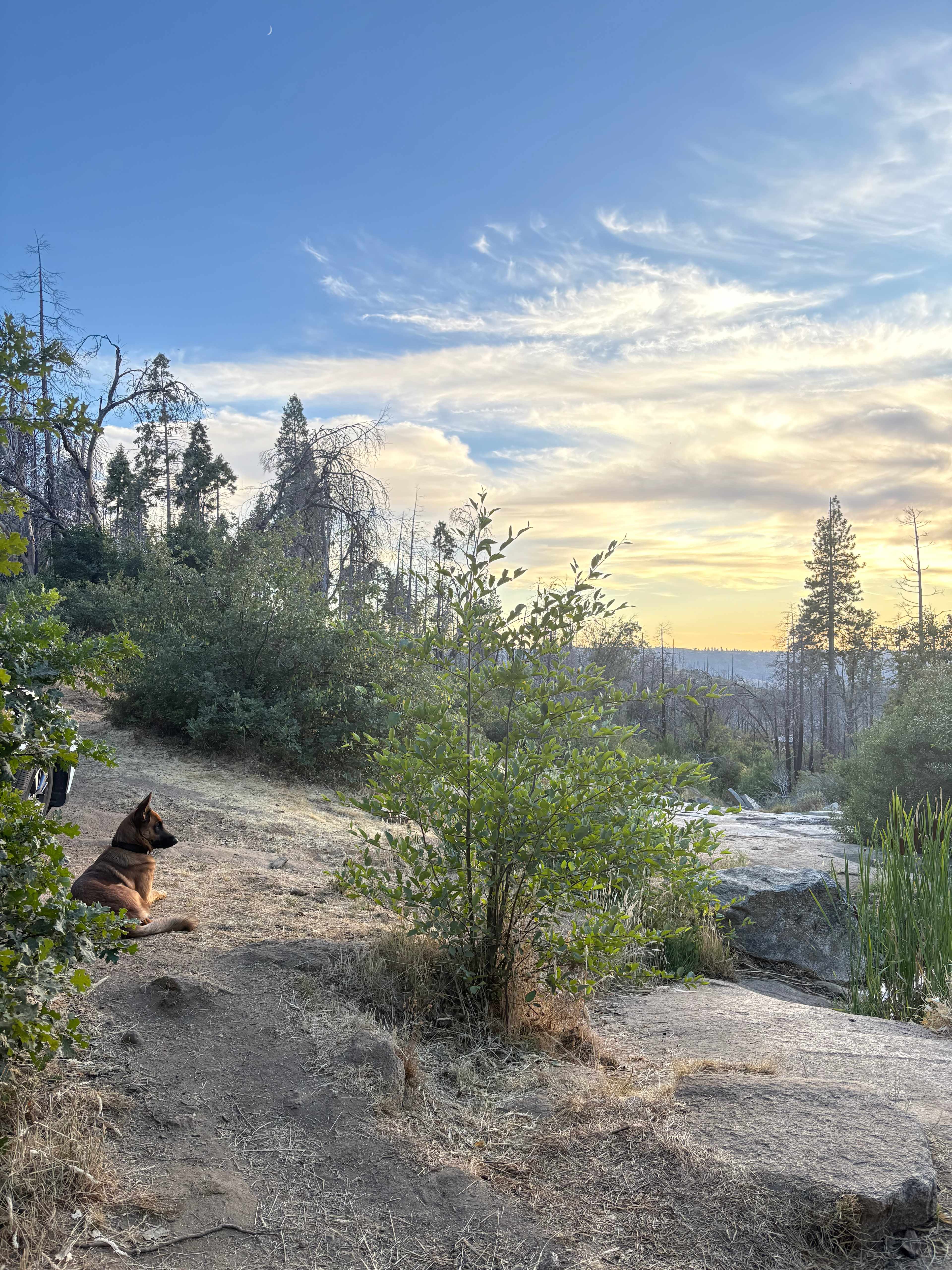 Musick Creek Falls  by Shaver Lake