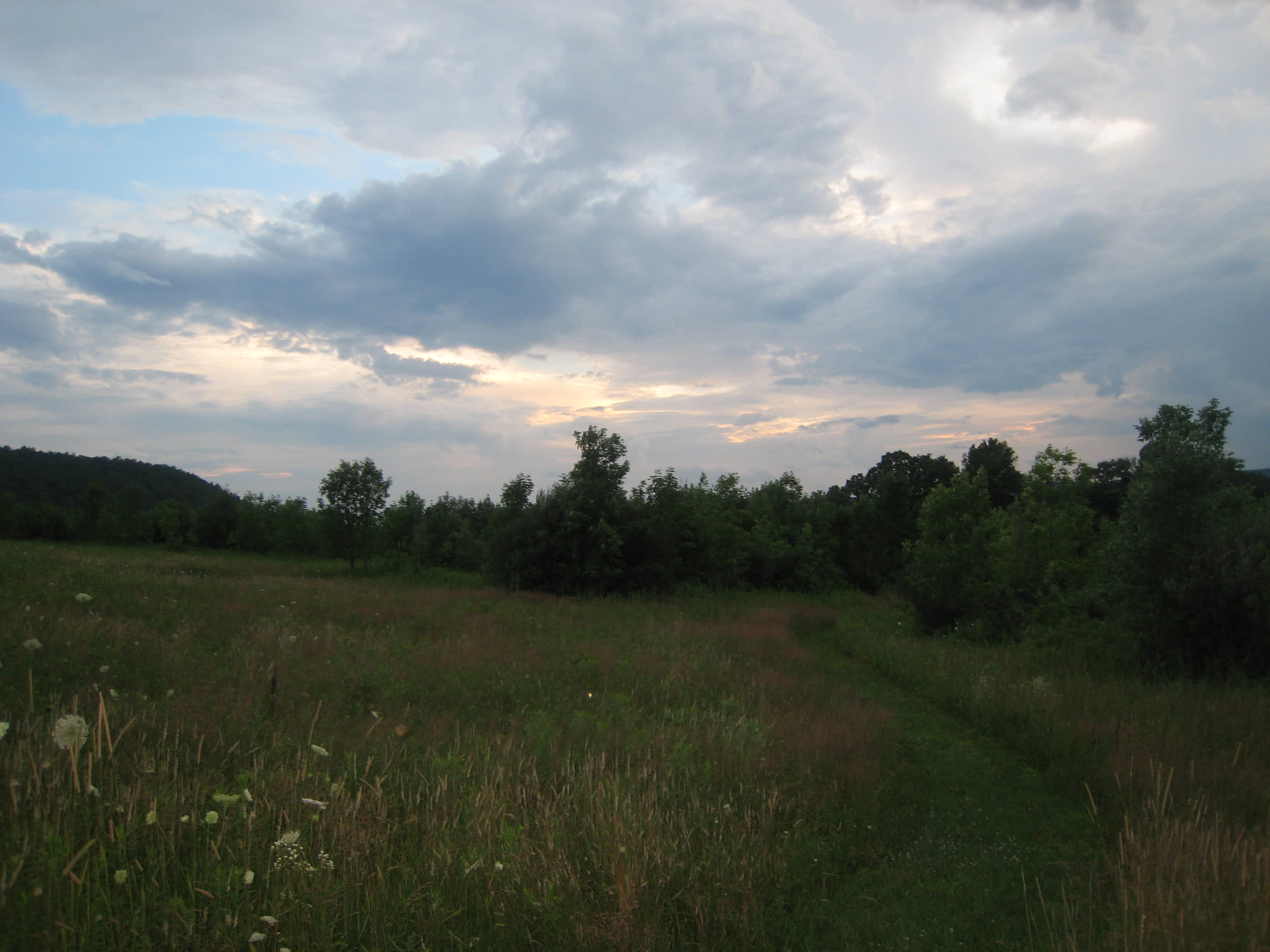 ZiegenVine Homestead