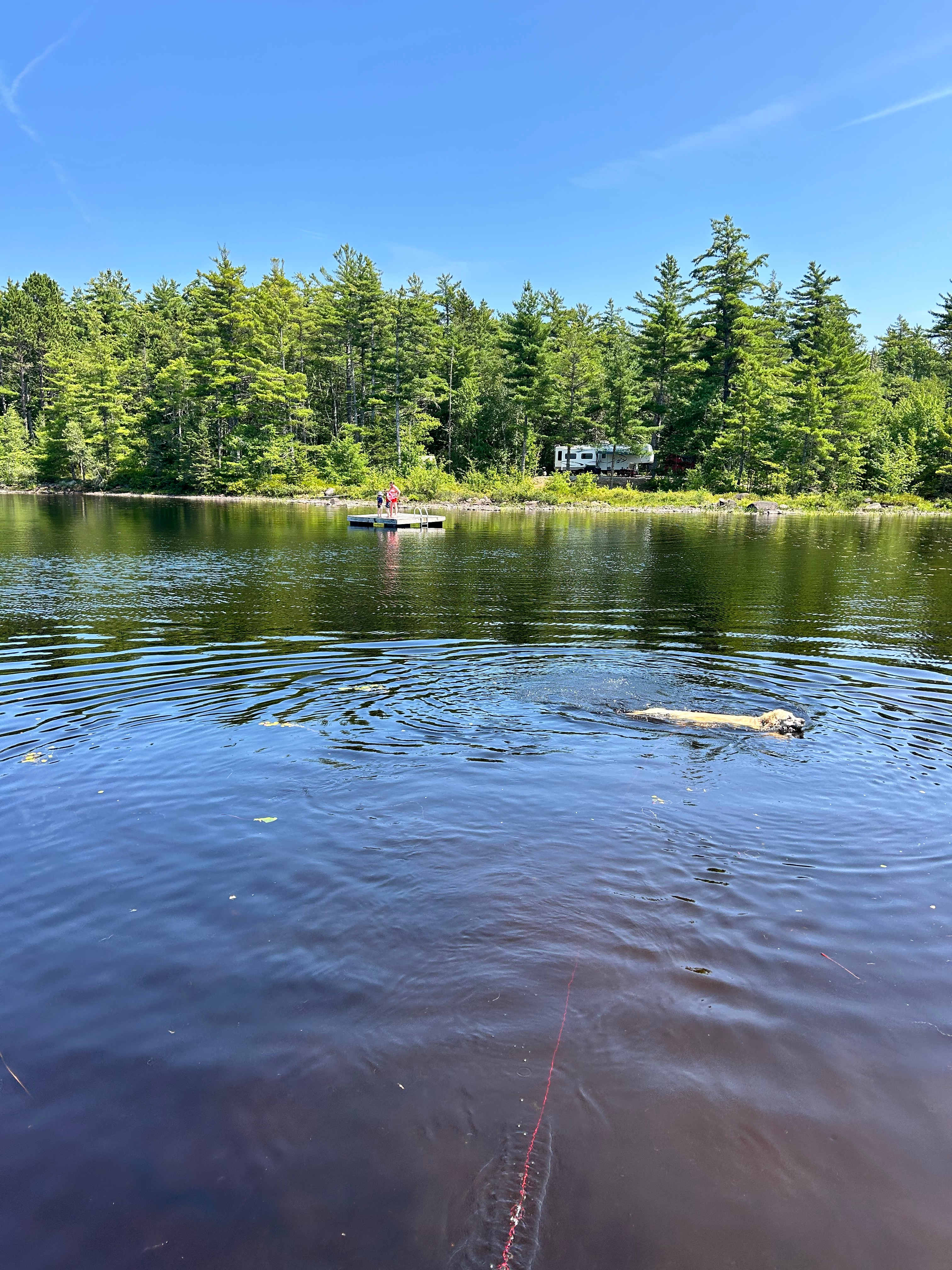 Owl's Hollow Eco-Therapy Glamping