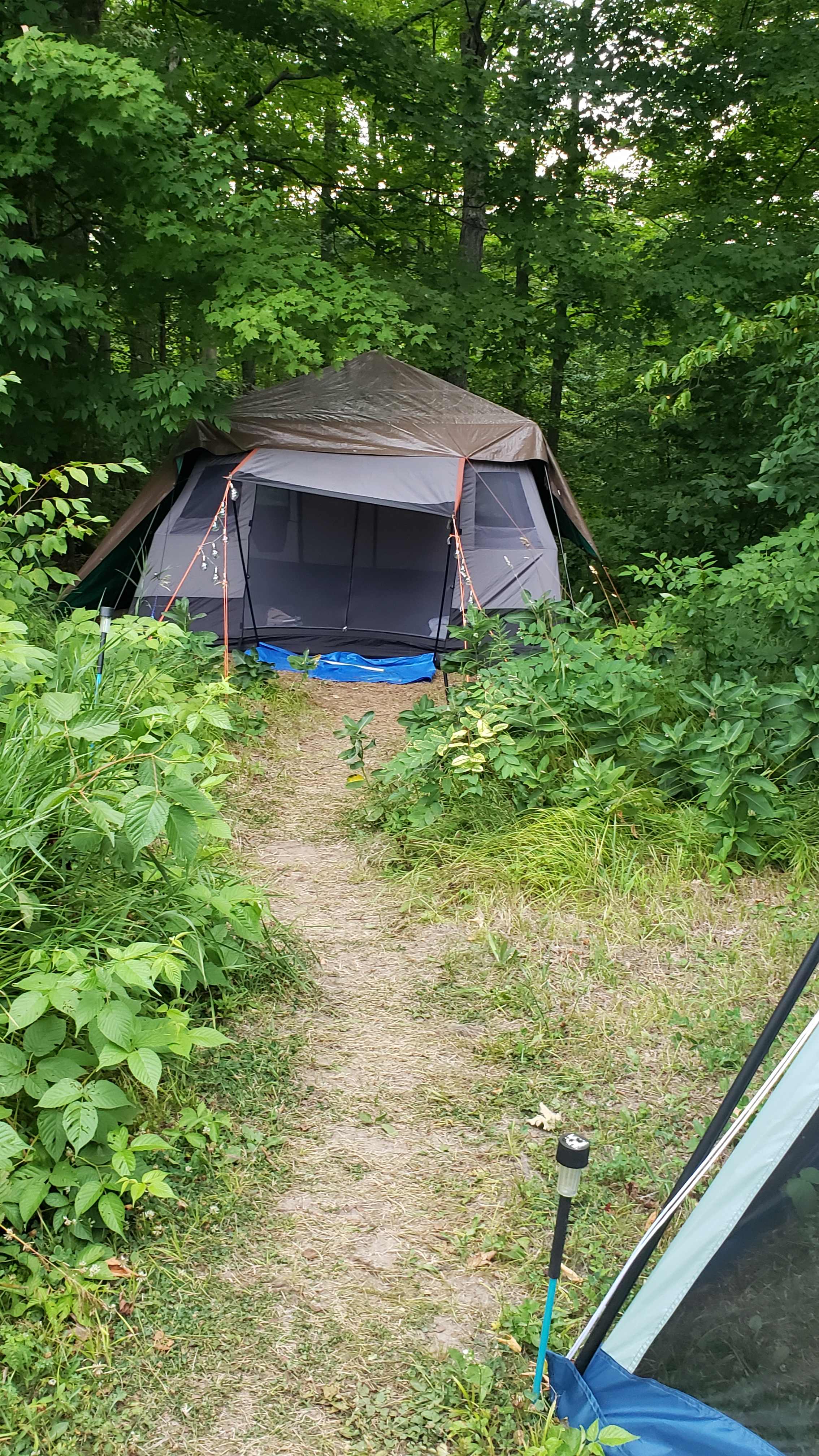 Our breezy cabin 12x12 tent fits nicely in shaded spot.