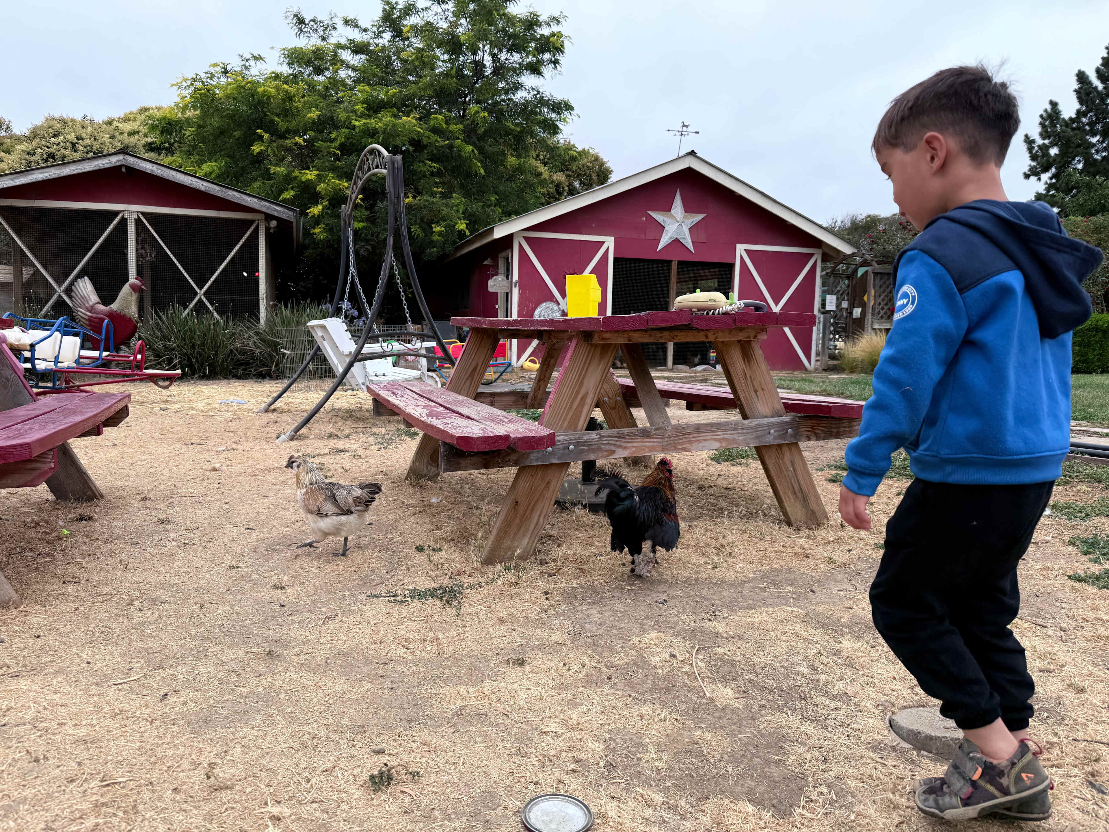 Windsor Family Farm