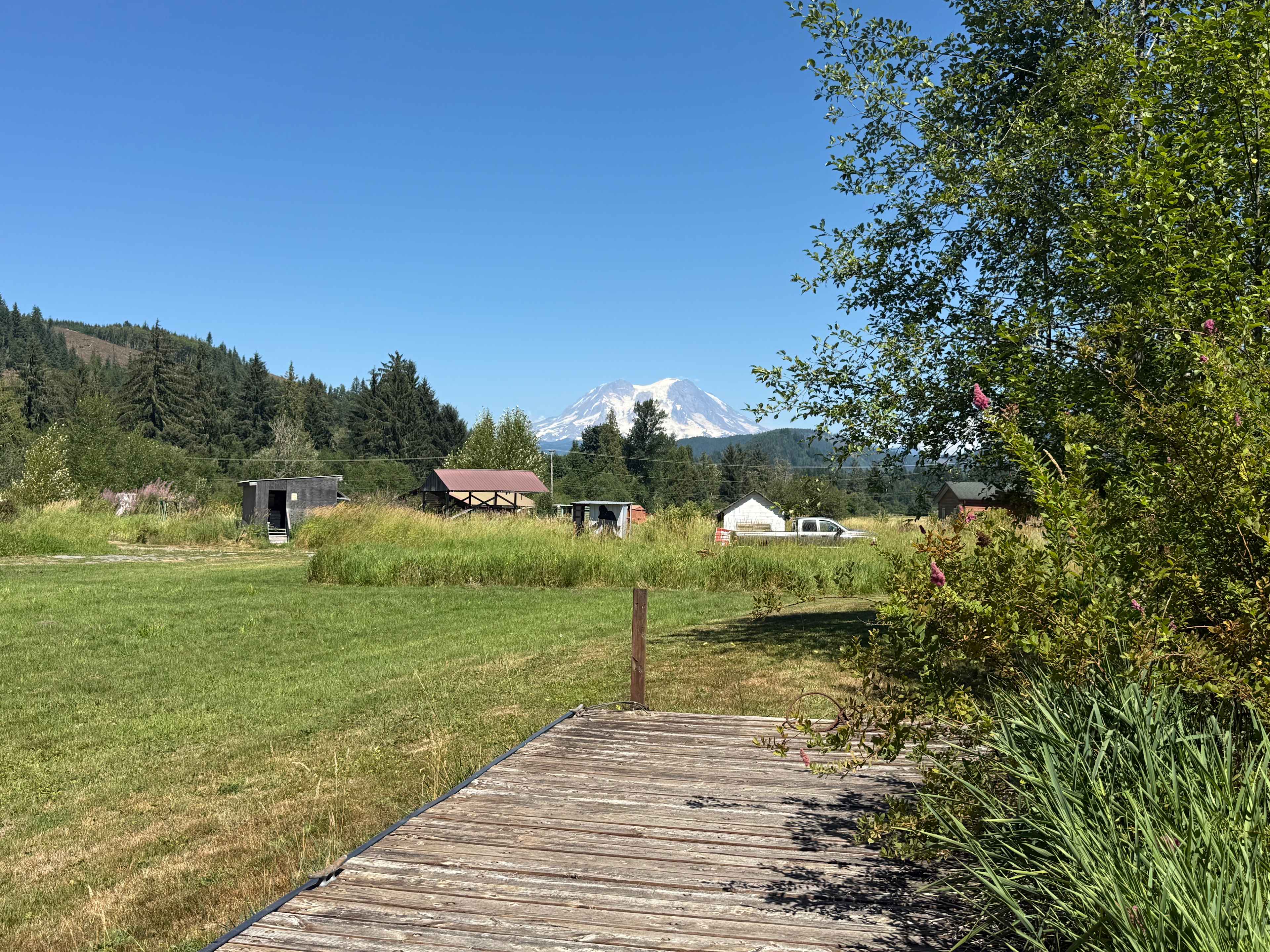 Misty Meadows Adventures Mt.Rainier