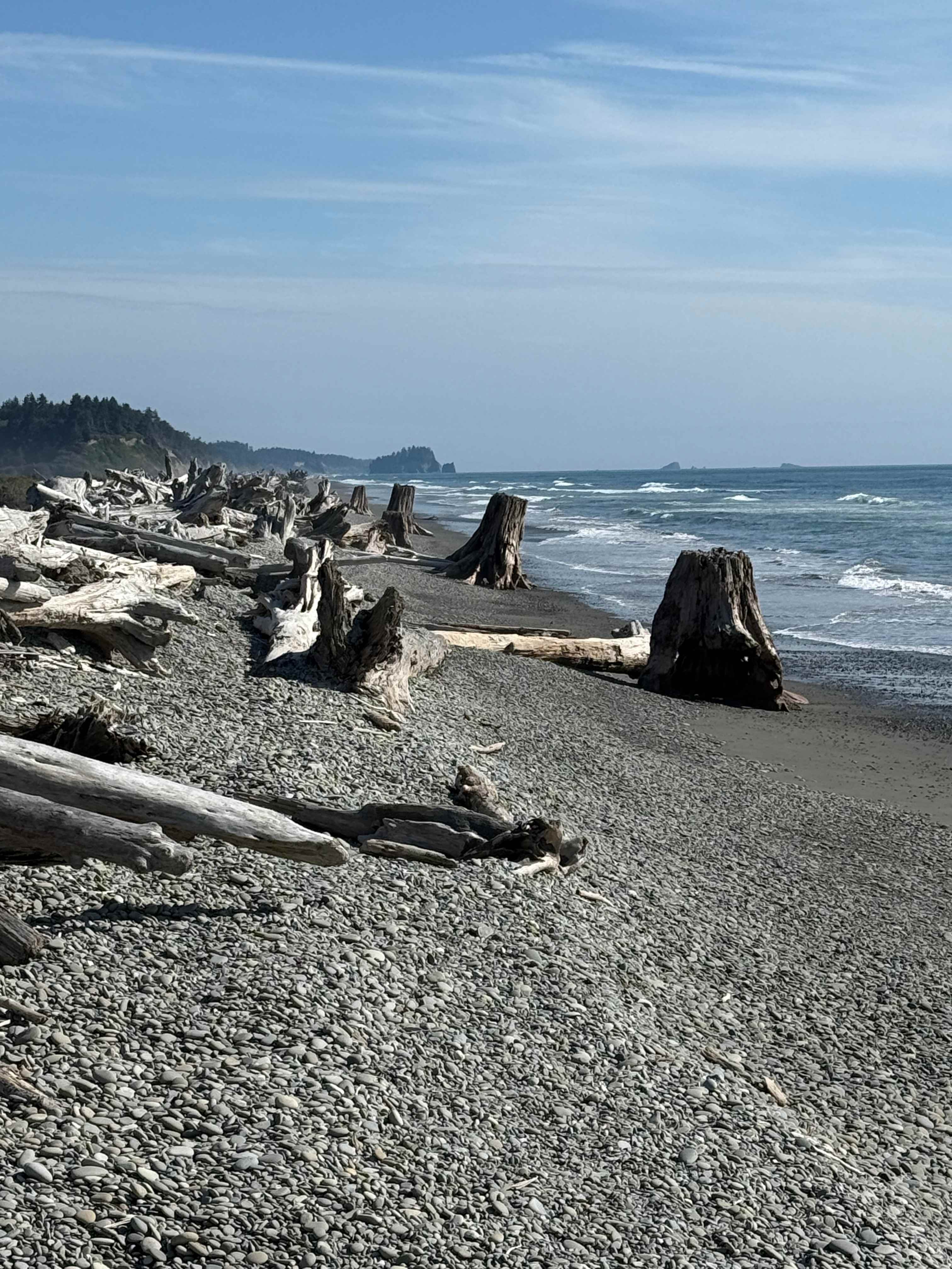 Wild WA Coast Lookout ($75 - $125)